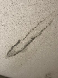 Plafond de la chambre comme ça à la grandeur.