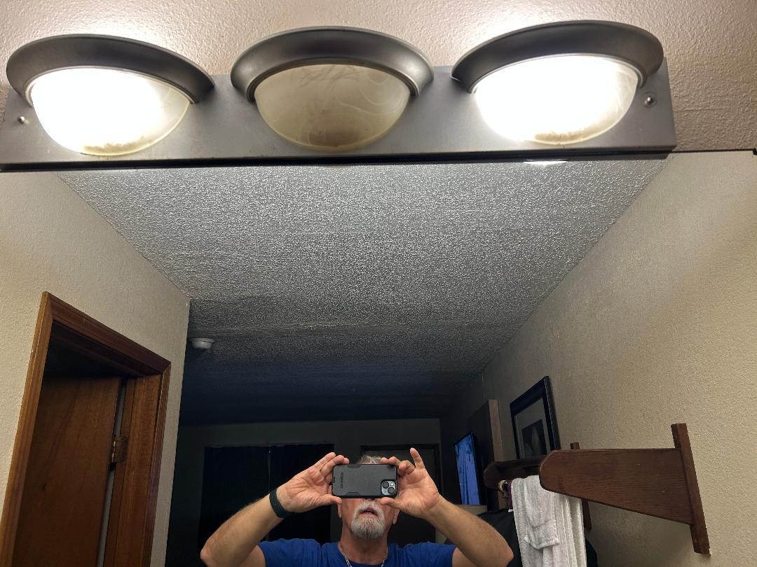 lights full of dead bugs, probably from the holes around the shower head and along the walls