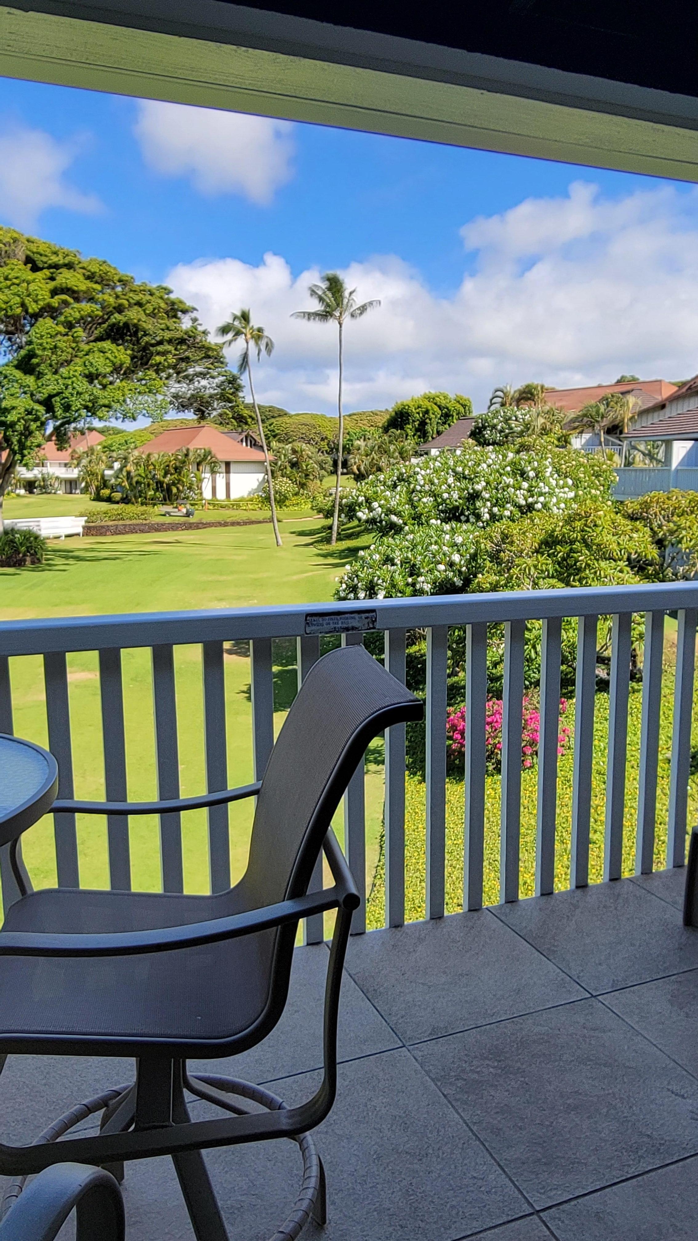 Looking out the back deck
