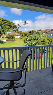 Looking out the back deck