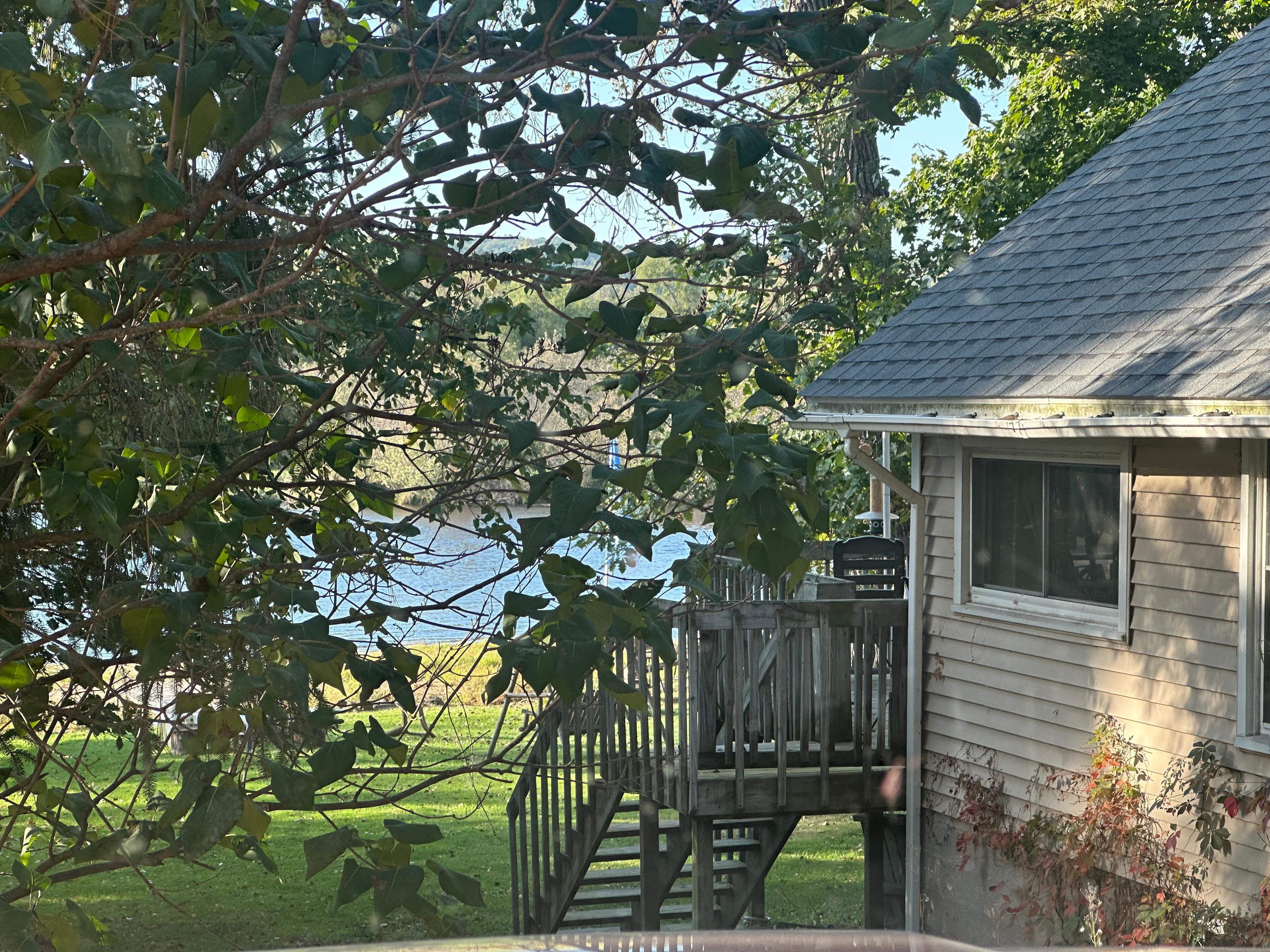 Or first view from our truck upon arrival.