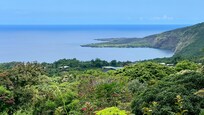 Kealakekua Bay.
Napoopoo is on the water just beyond the darker trees.