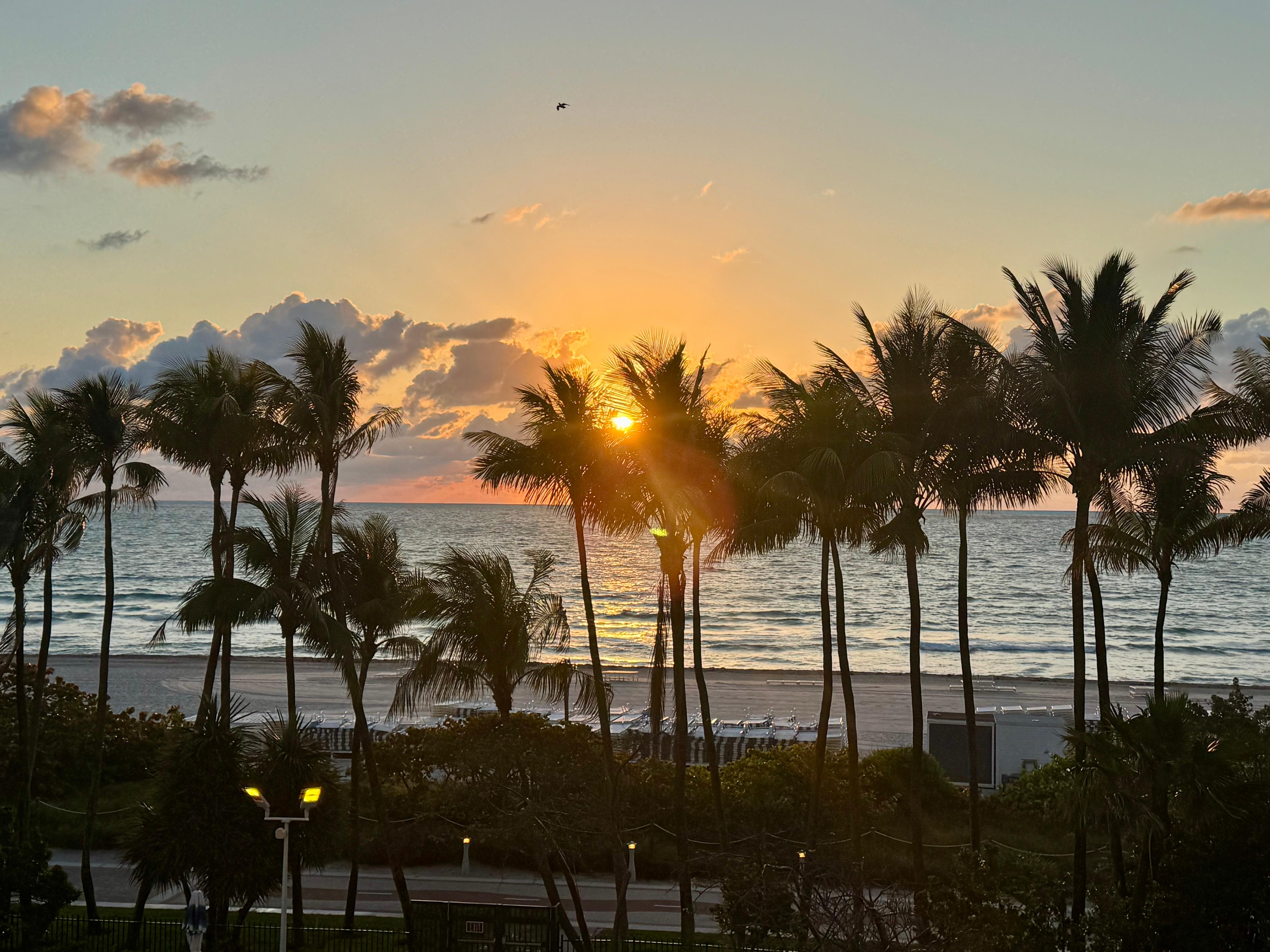 sunrise view from unit