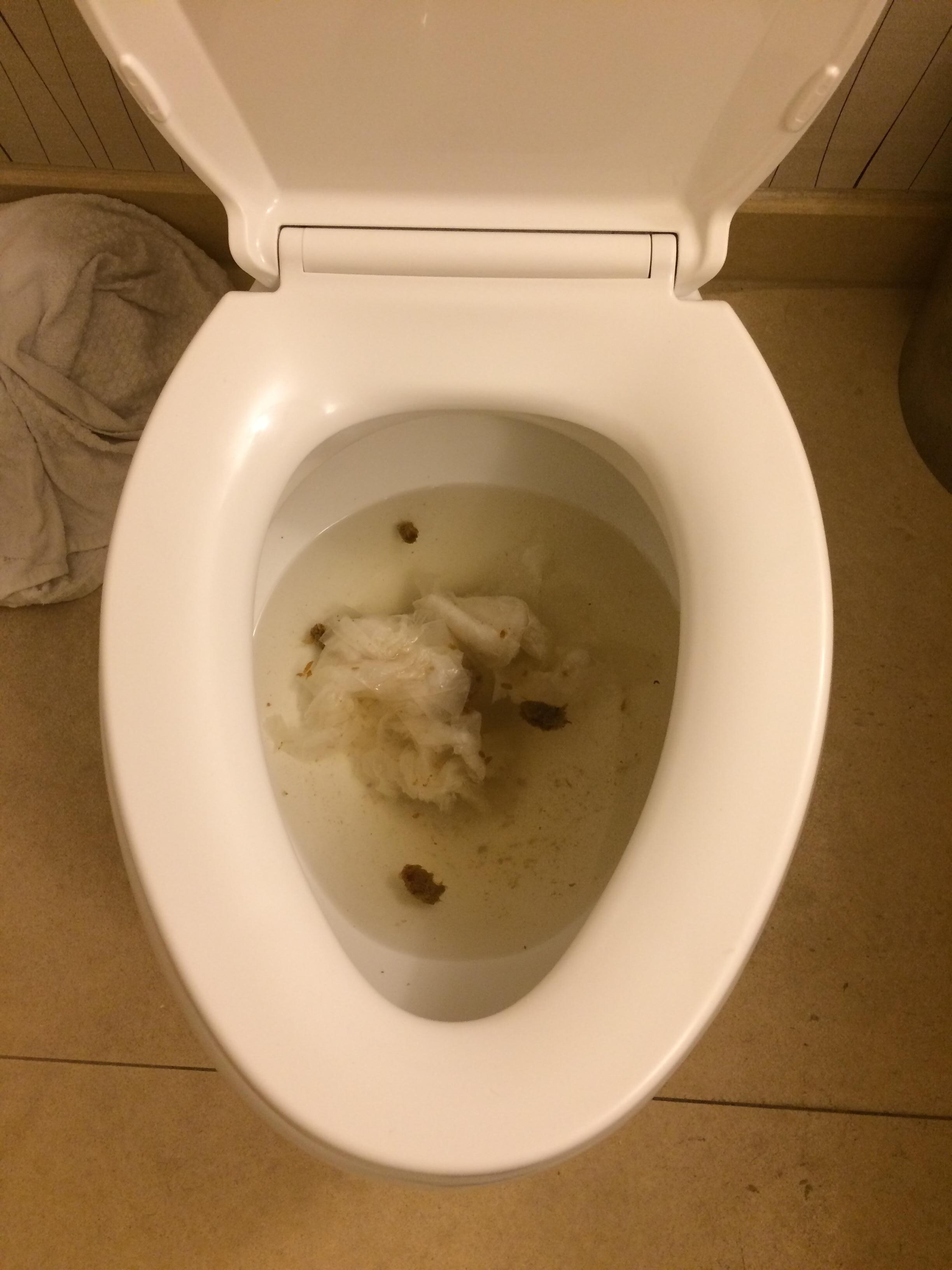 Toilet clogged every morning!