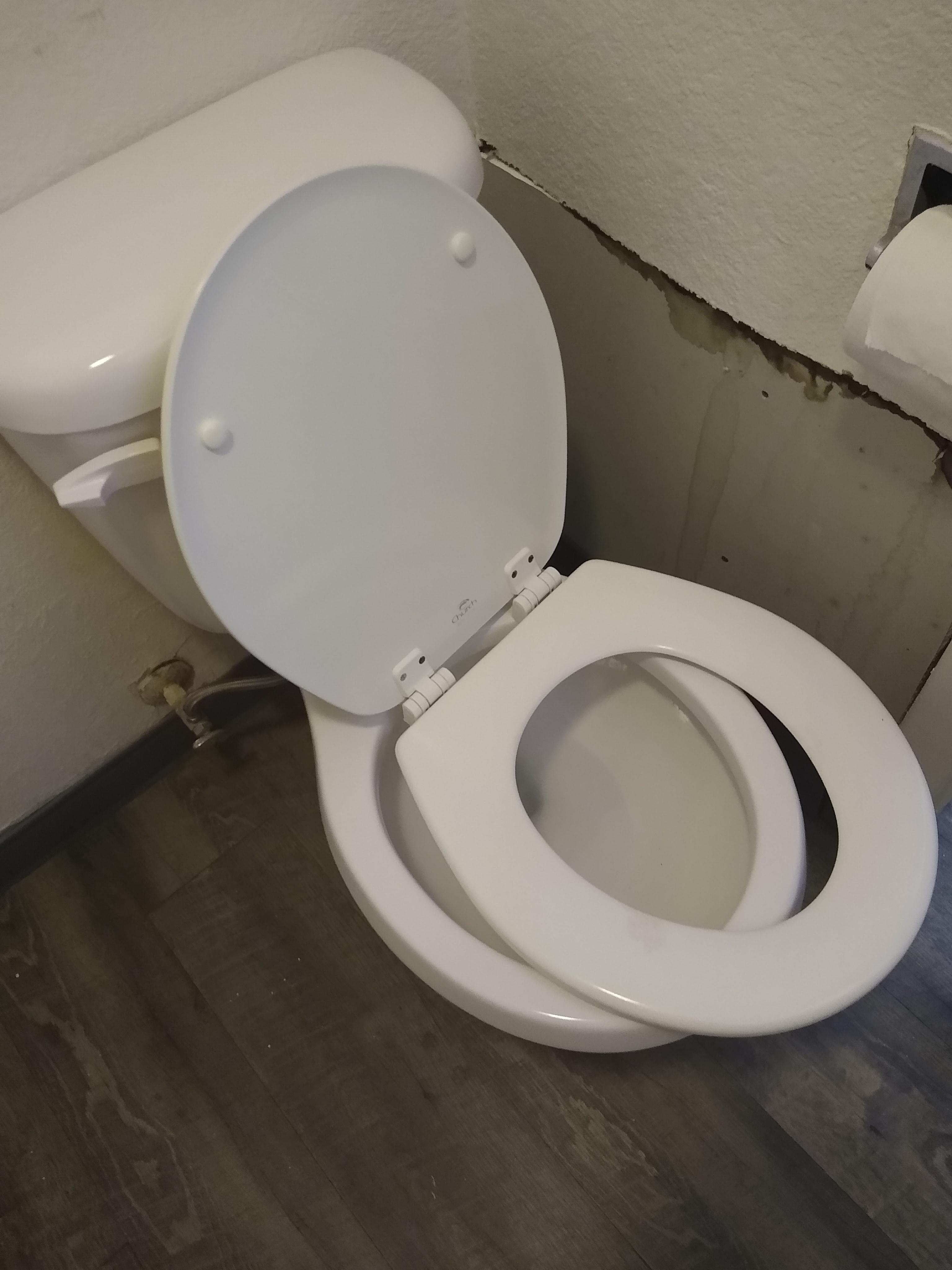 Toilet seat