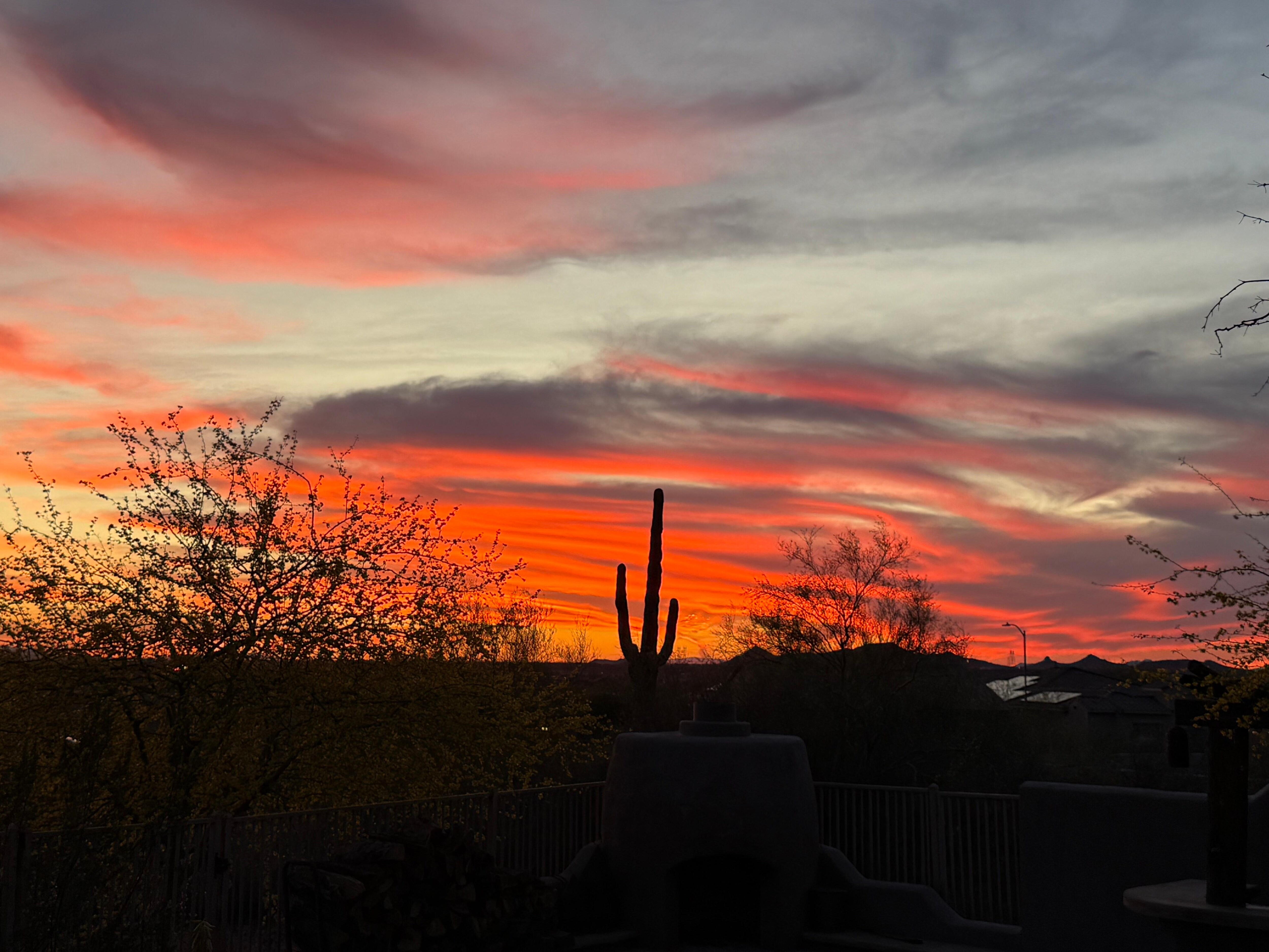 Sunset from the back deck.