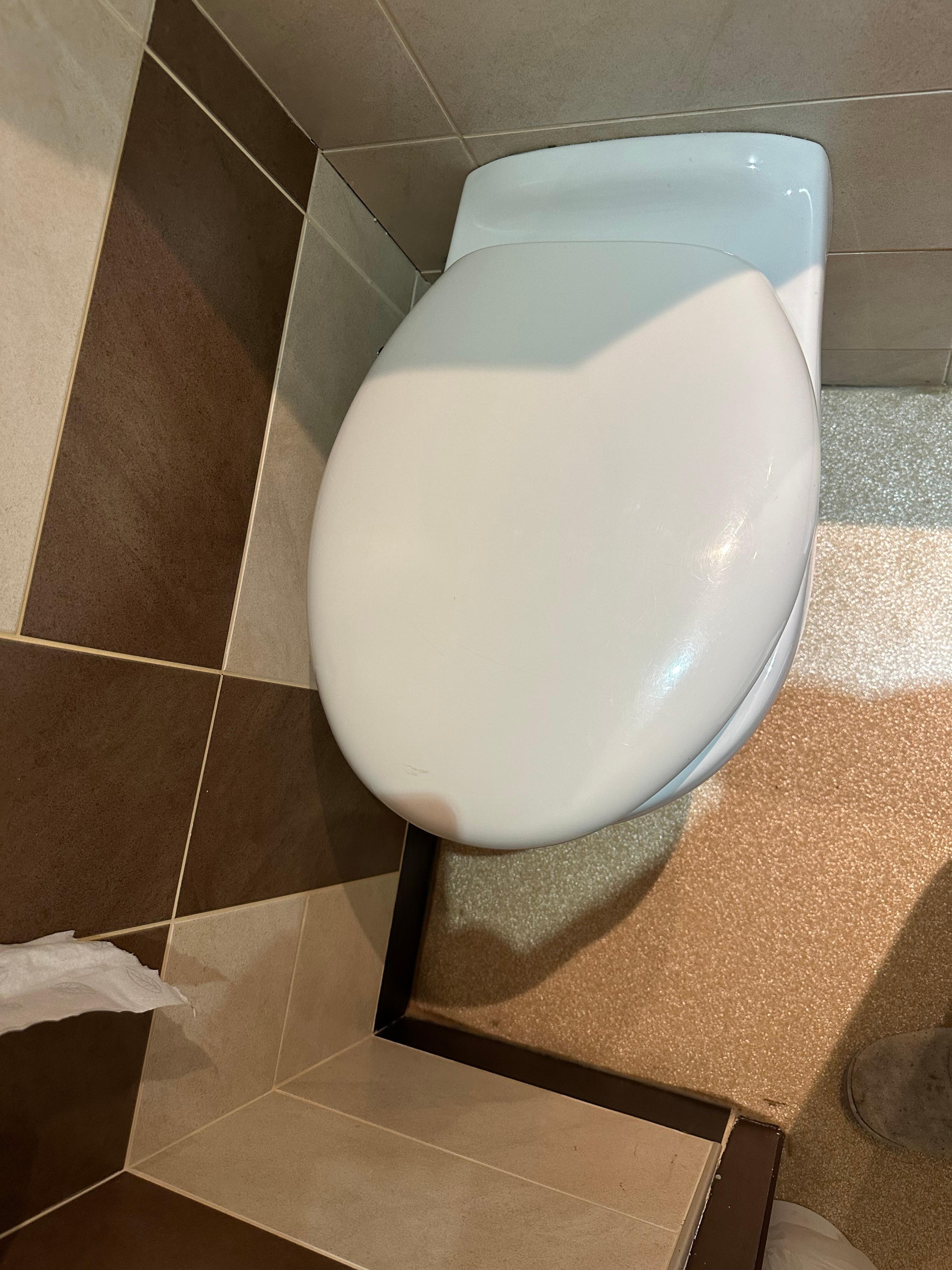 Toilettes coller au mur impossible de s’asseoir 