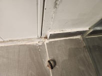 Mold and dirt