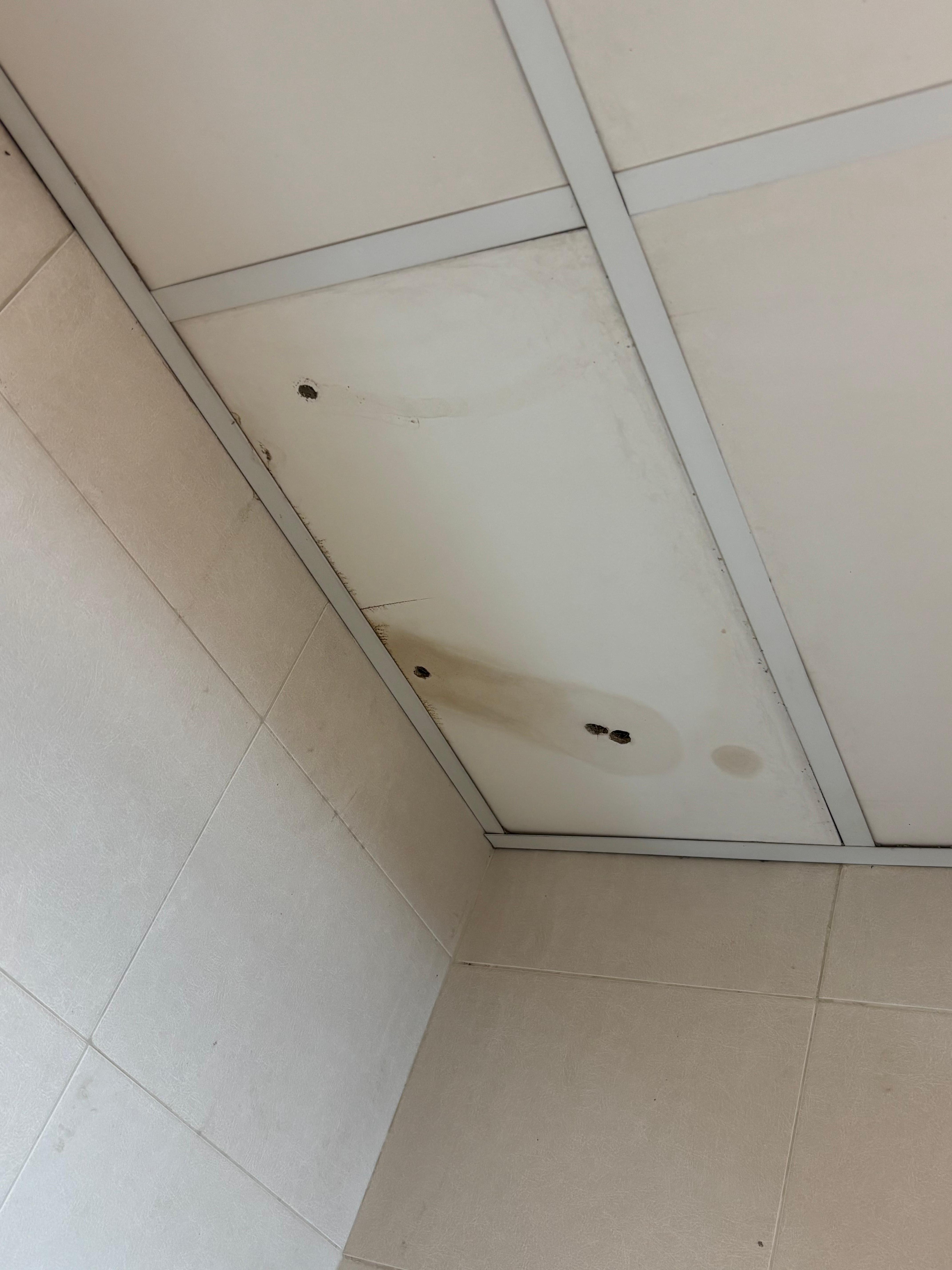 Ceiling in the shower