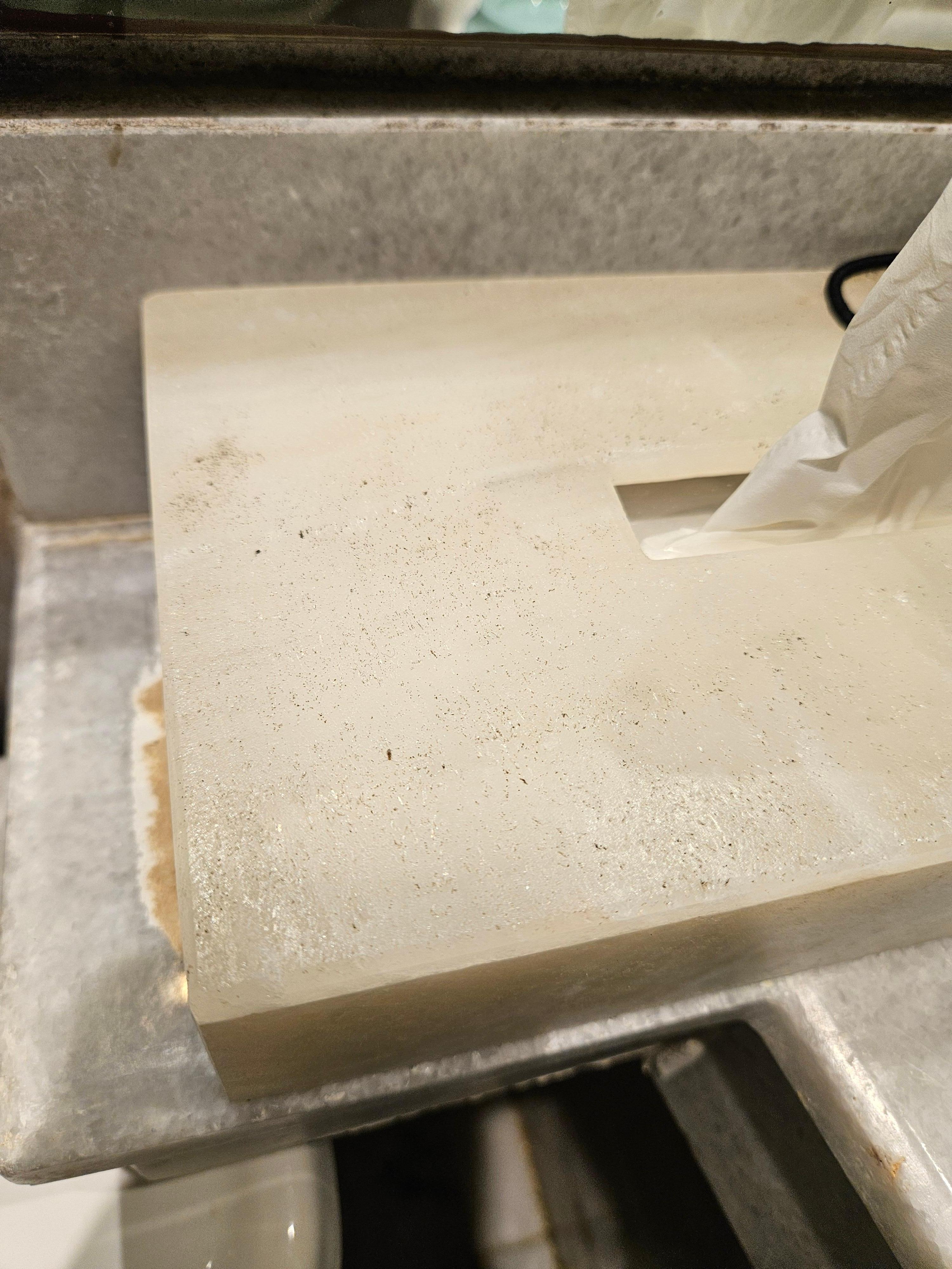 These little bugs seemed to be in a lot of the areas in the room. 