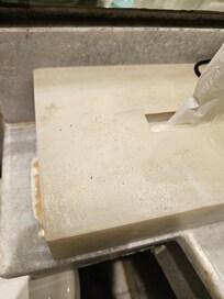 These little bugs seemed to be in a lot of the areas in the room.