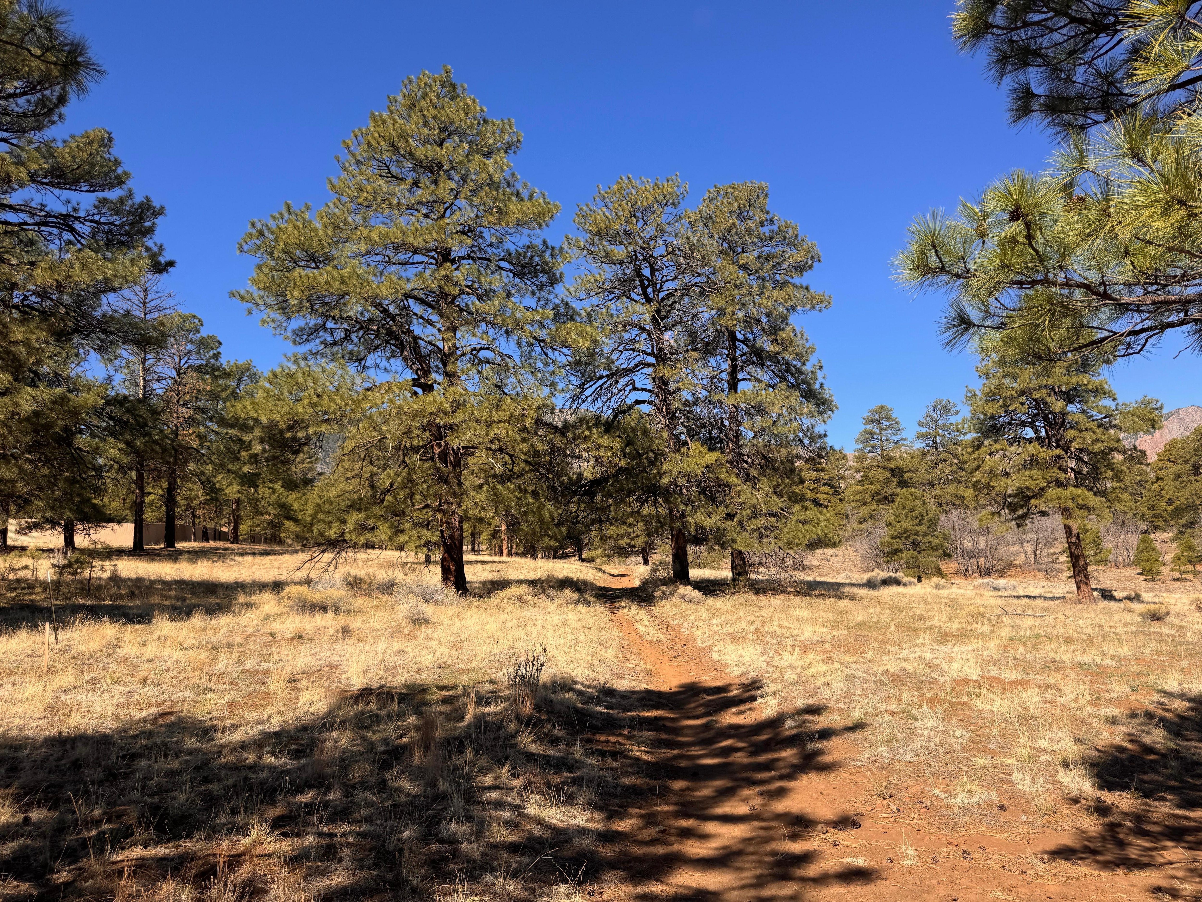 Trail at the end of the street.