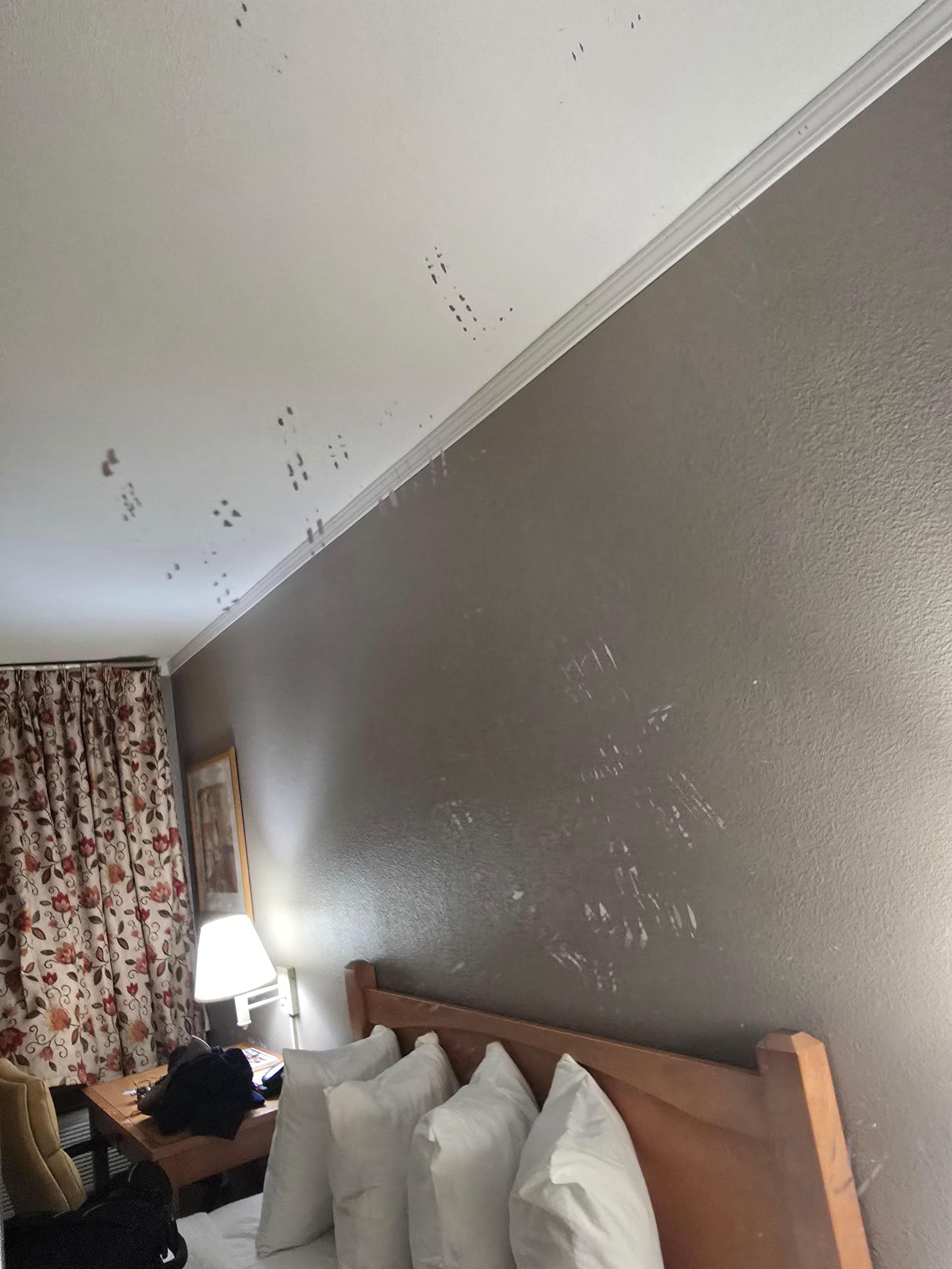 Unsure what all this was