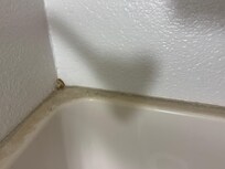 Dirty shower