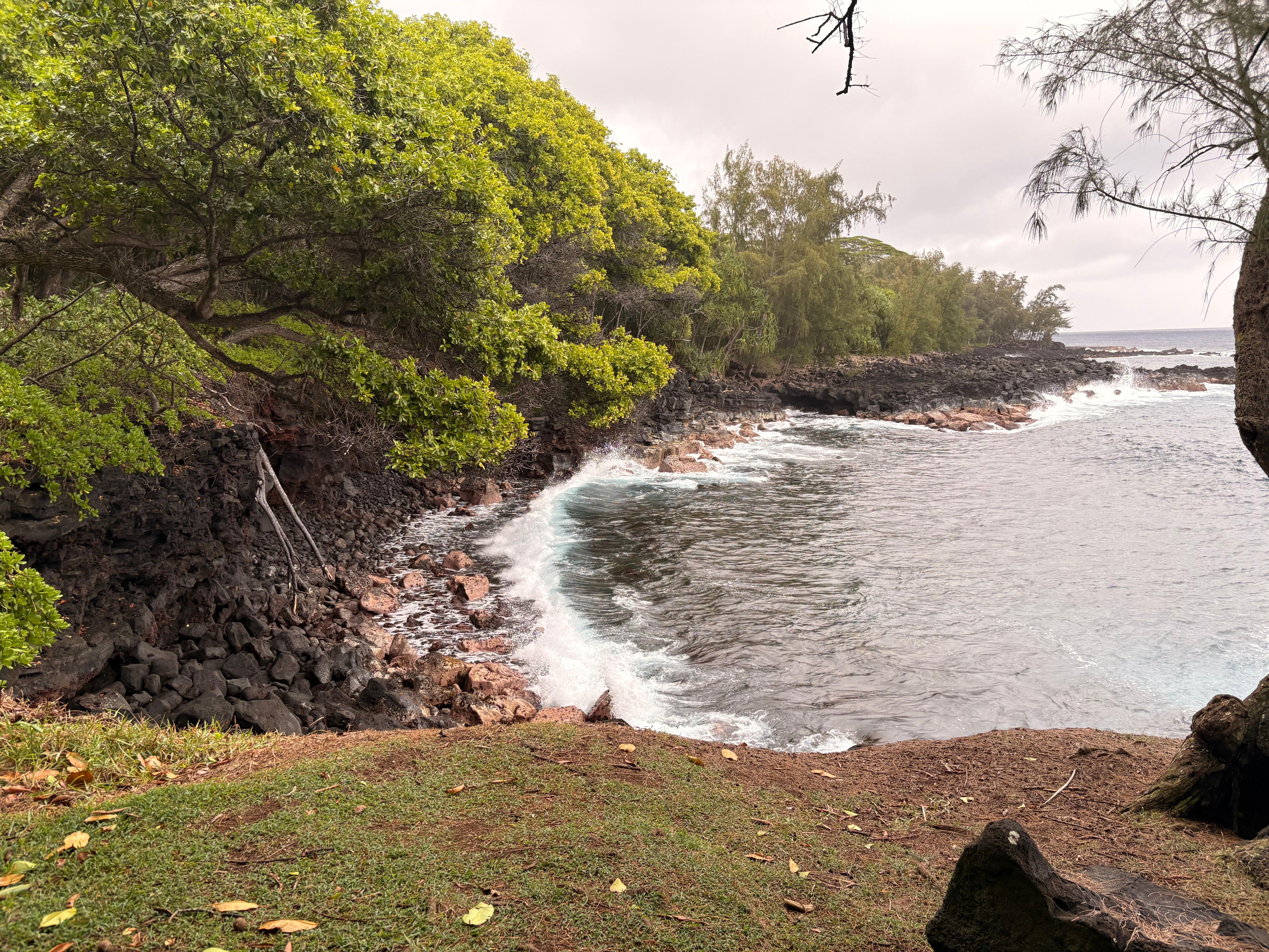 This picture was taken off of the Palio St close to Honolulu Landing.