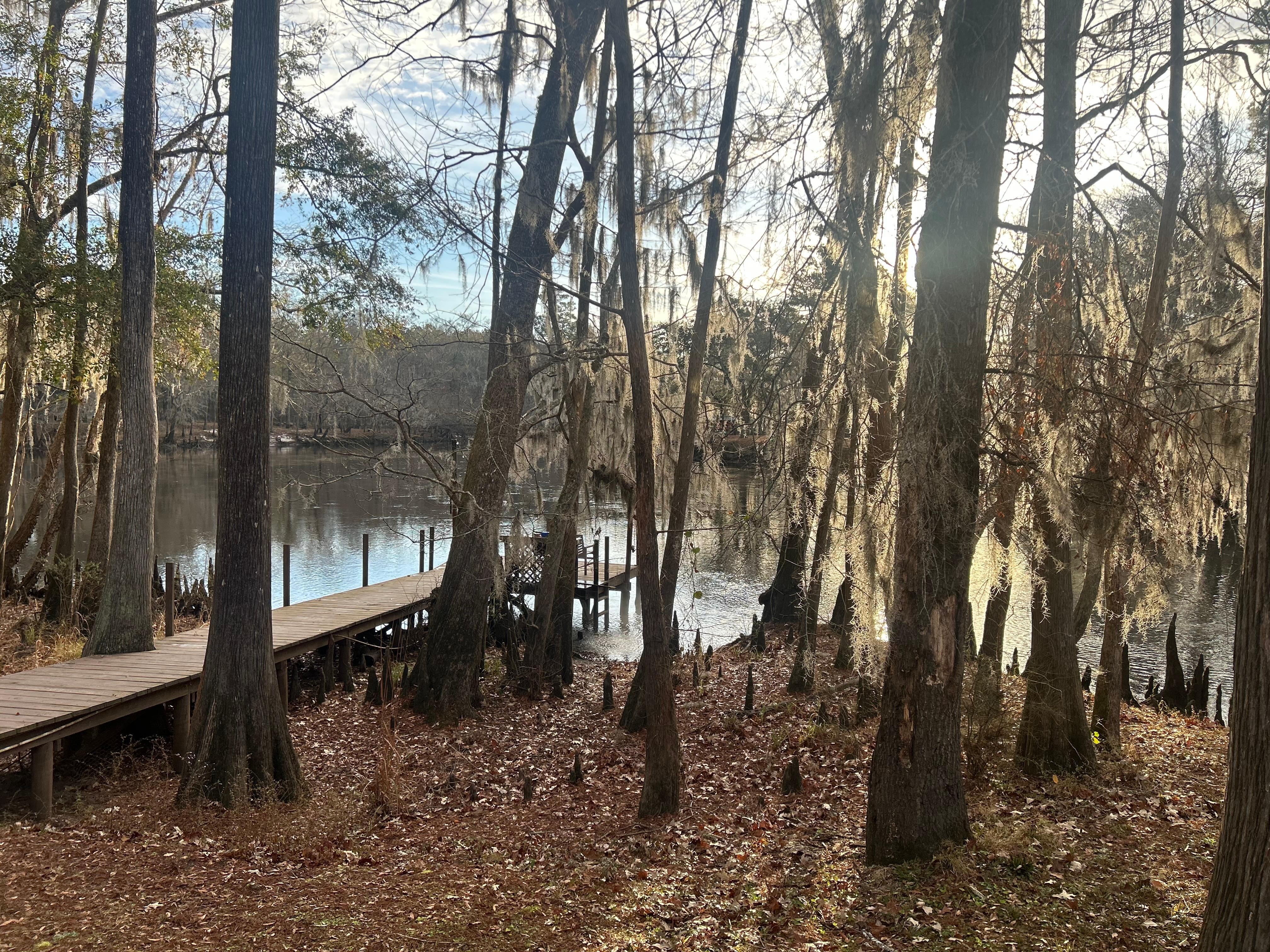 View from downstairs patio 