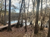 View from downstairs patio
