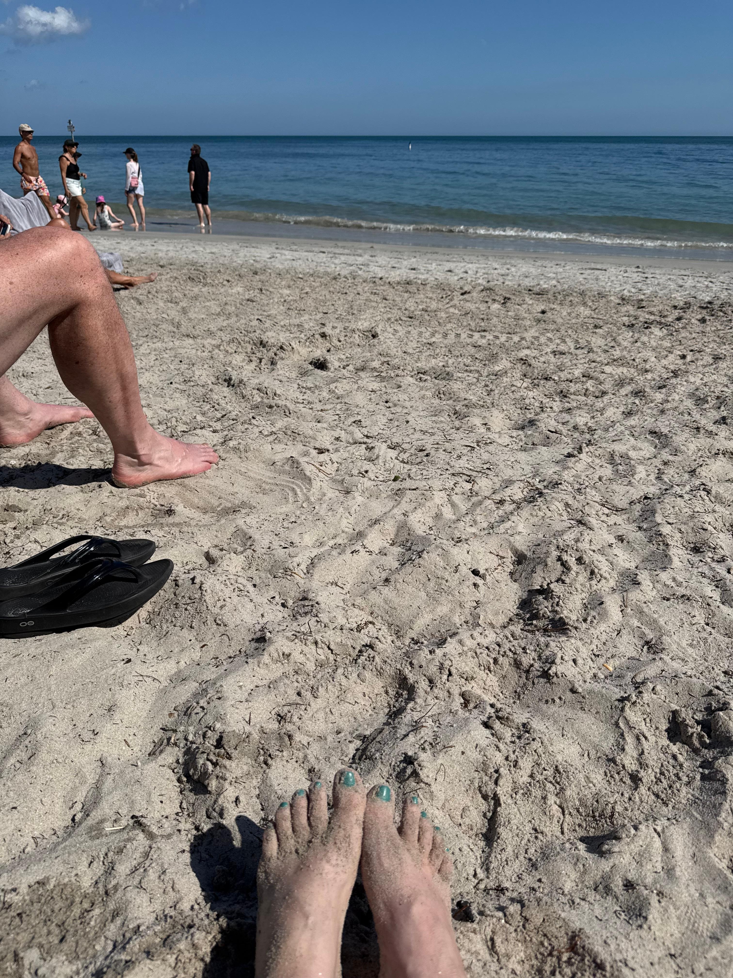 Fun in the sun in January 