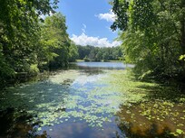 Lake Cheston walking trail.