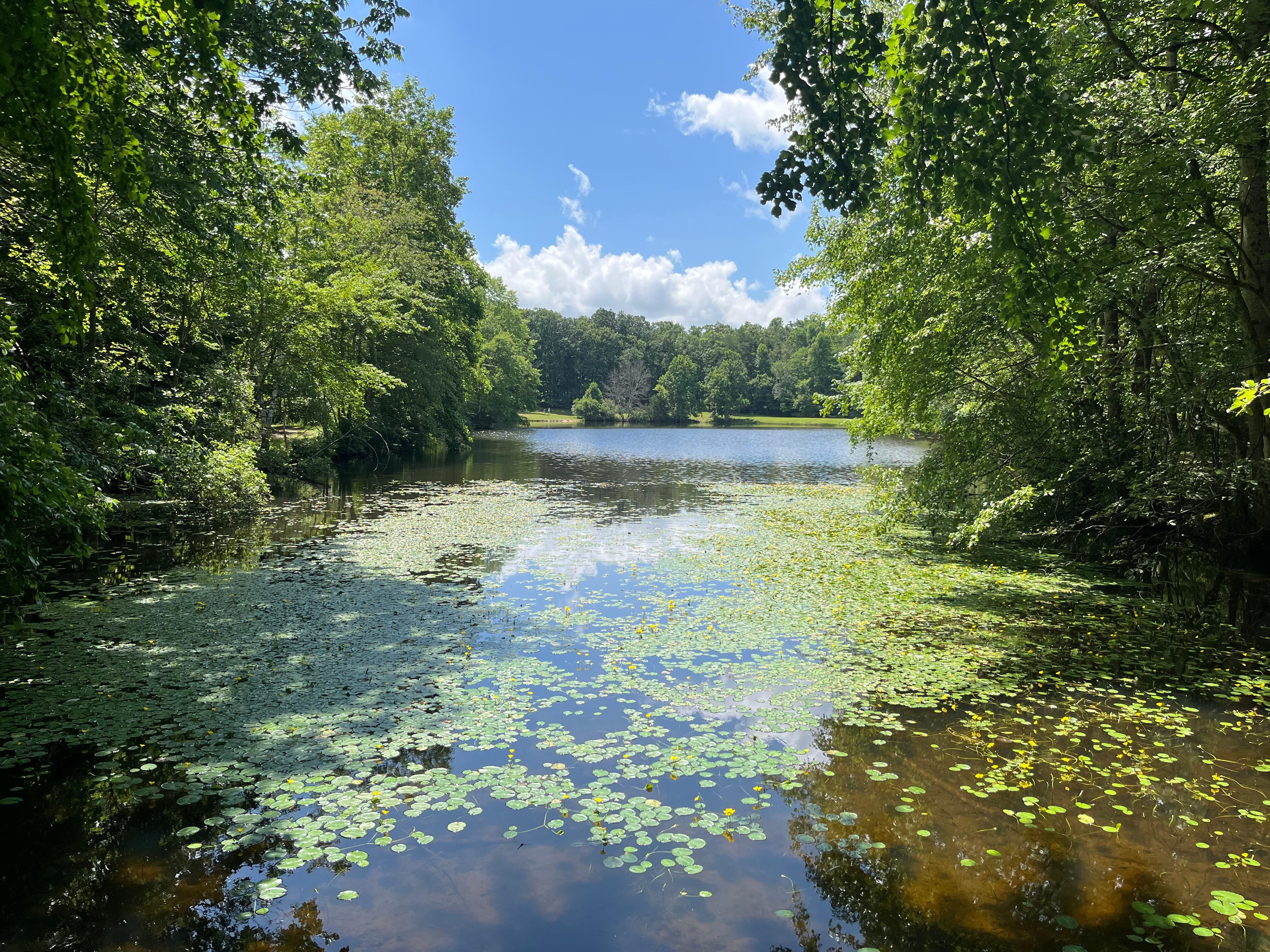 Lake Cheston walking trail. 