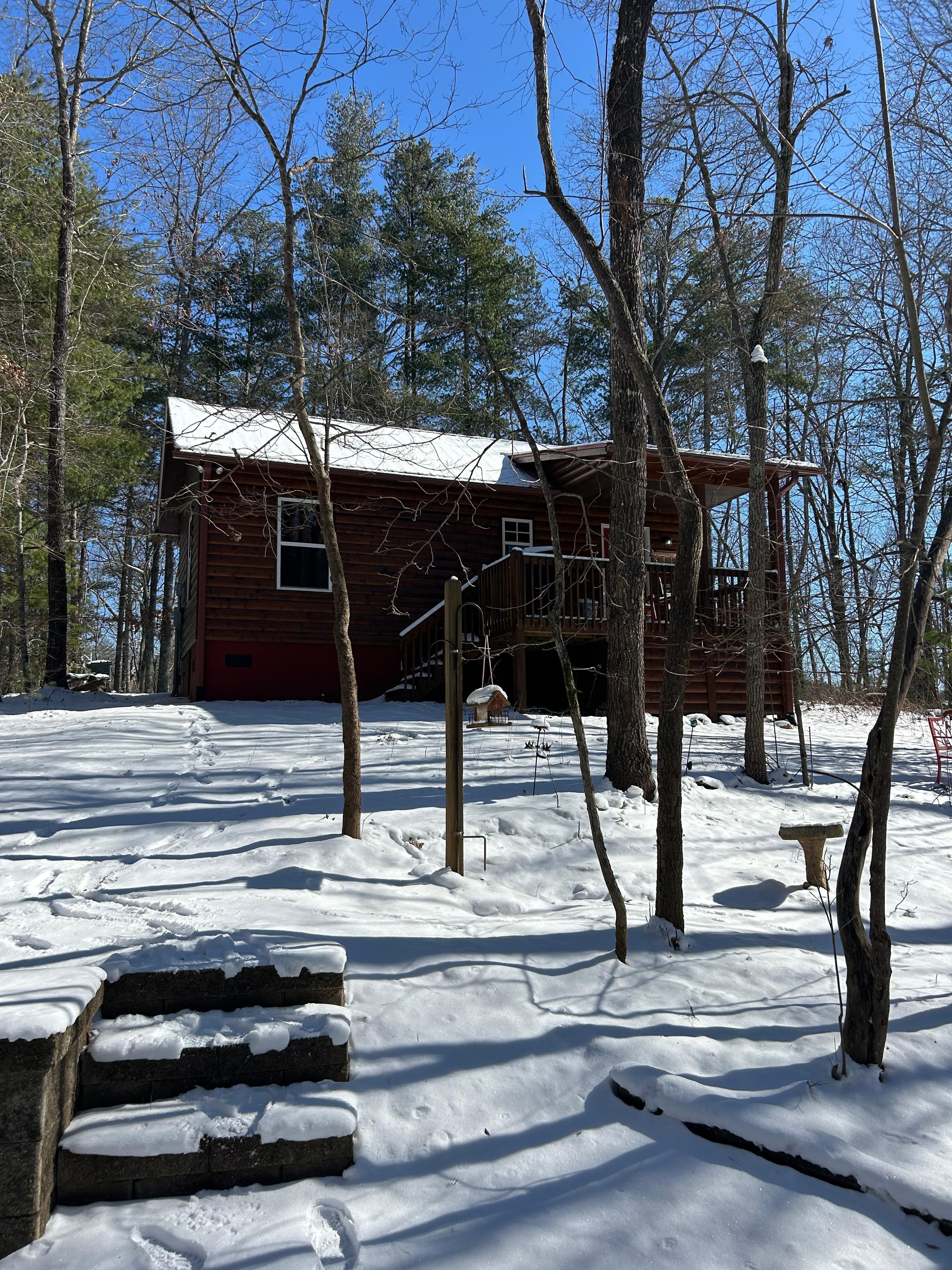 from the fire pit looking at the back of the cabin