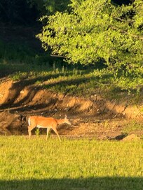 View from one of the private patios
