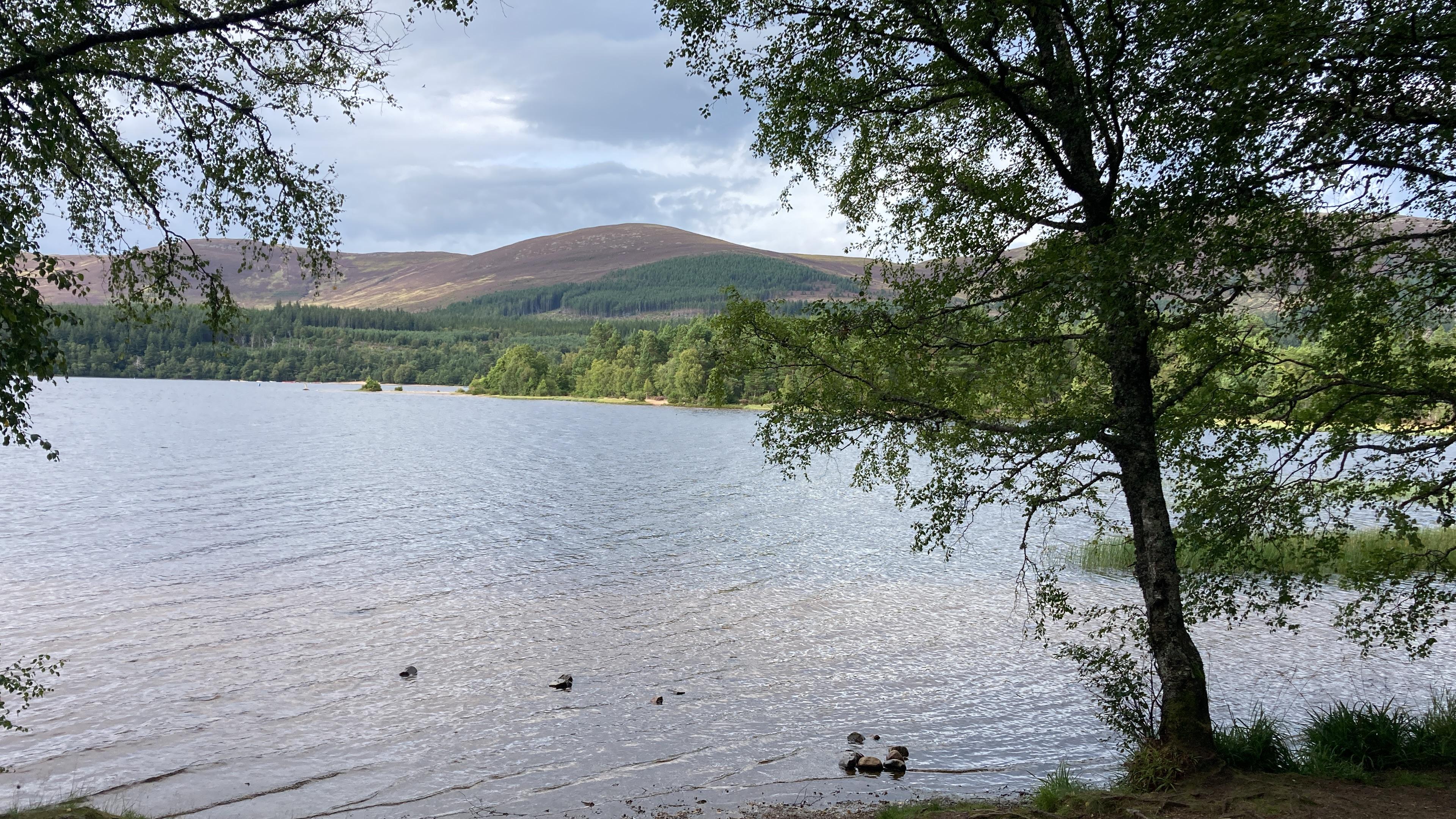 Loch Morlich from the walk around the loch