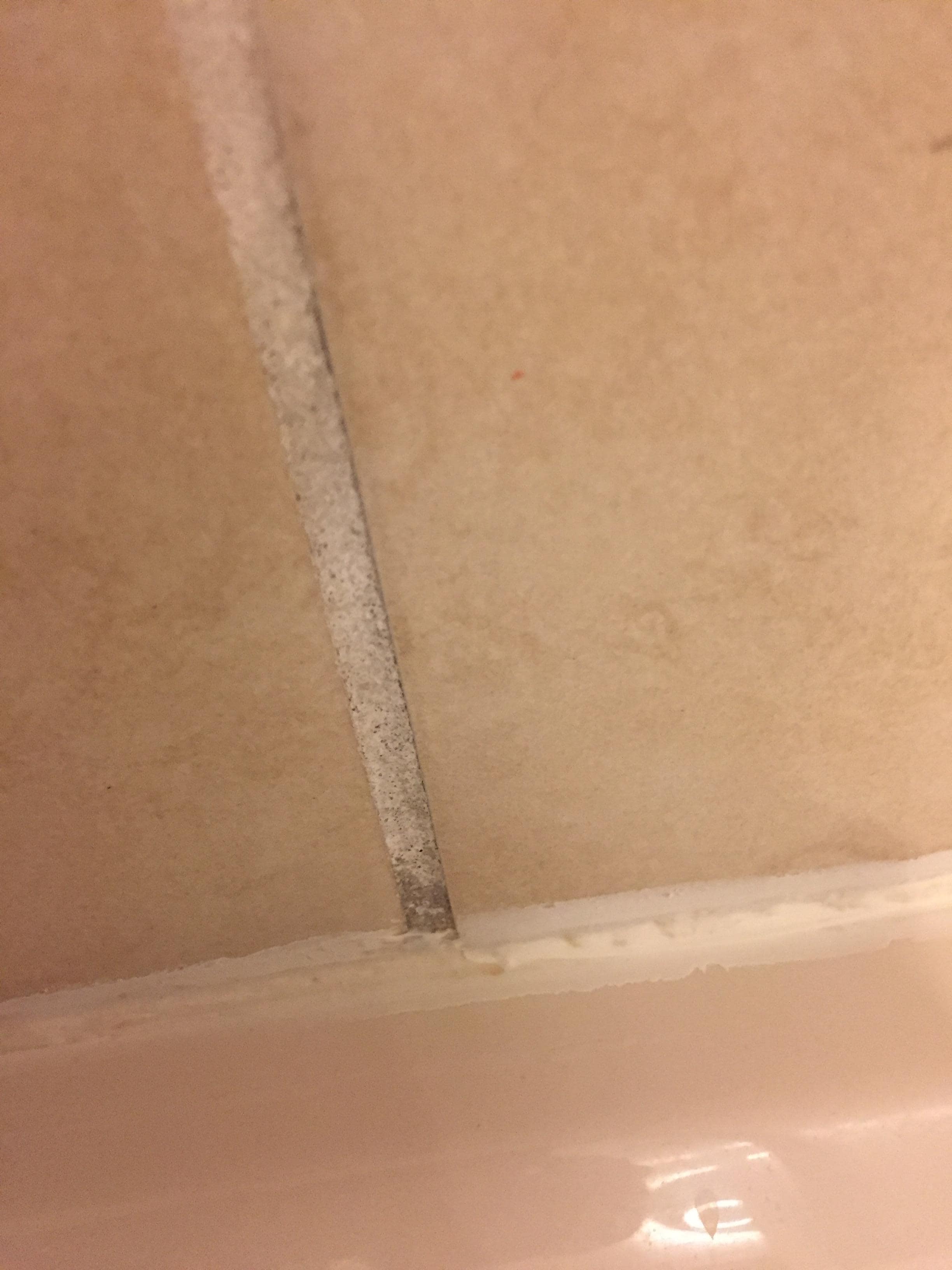Mold in shower