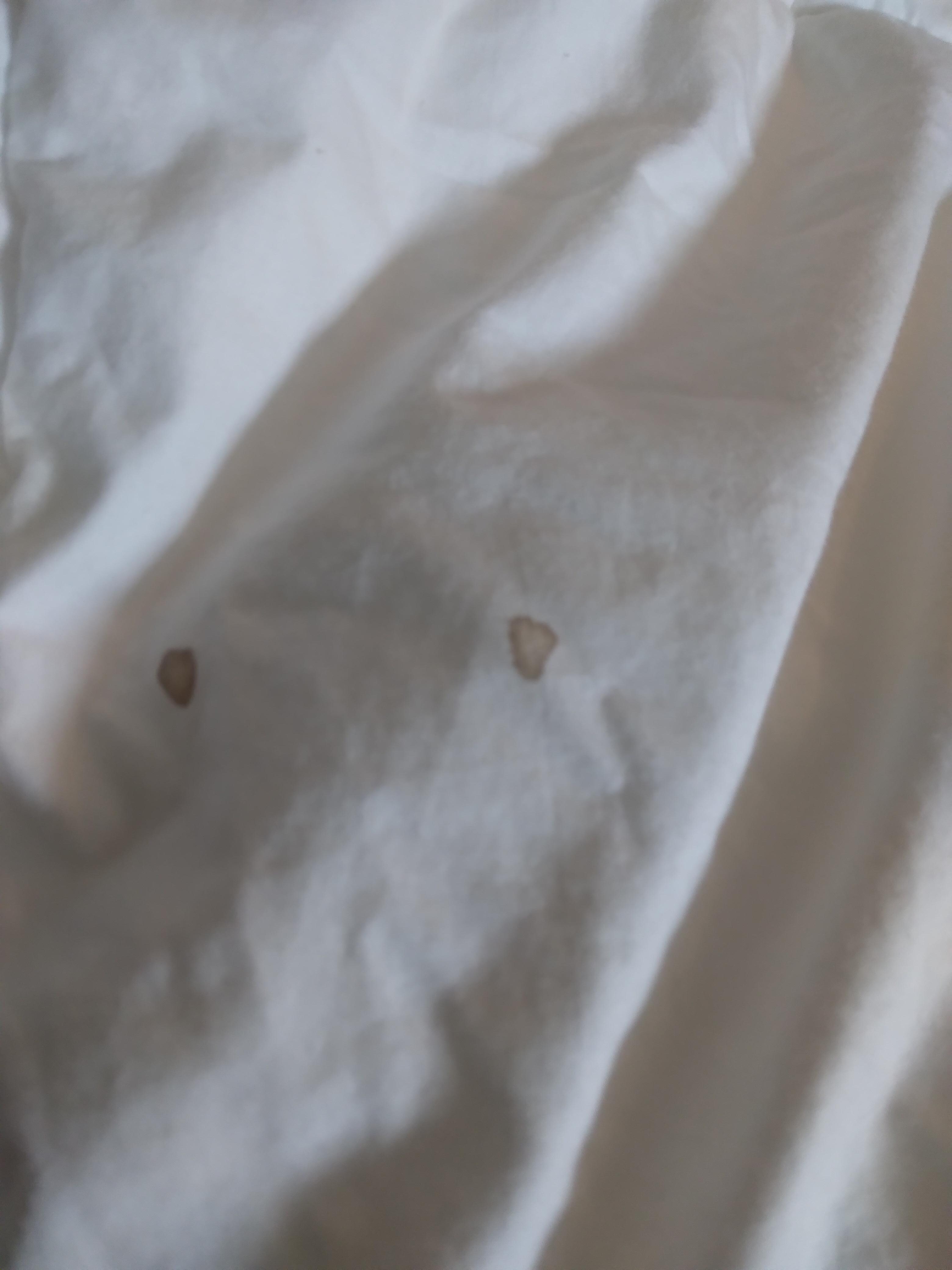Dried blood on blankets