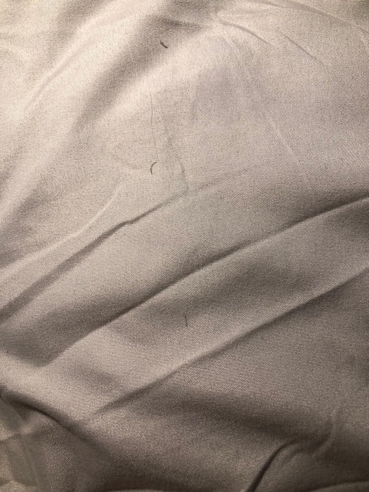 hair throughout the bedsheets