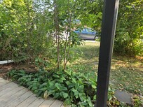 Sitting on the front porch. Coverage from street is lovely little spot.