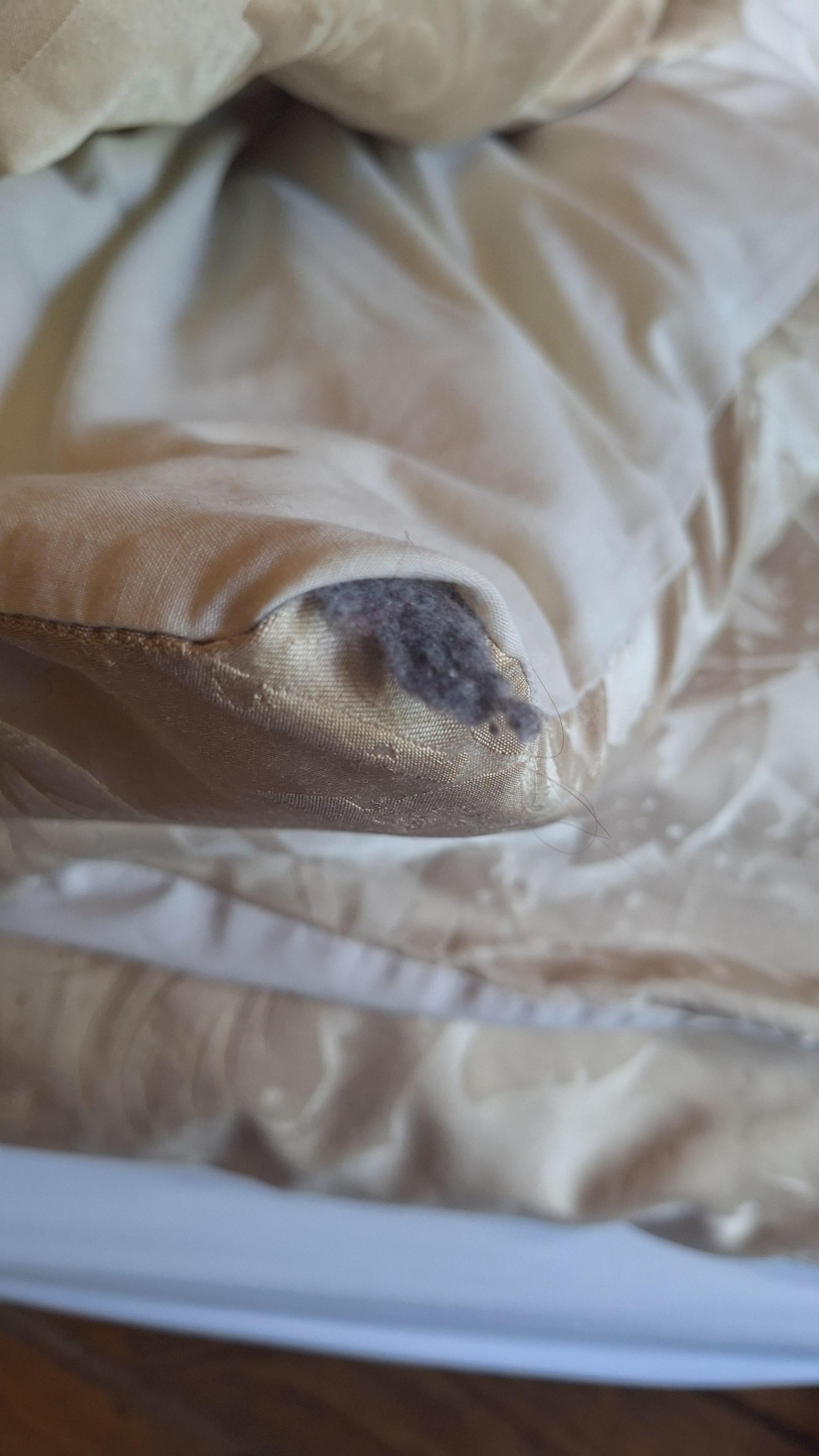 Dust bunnies in the corner of the bedding