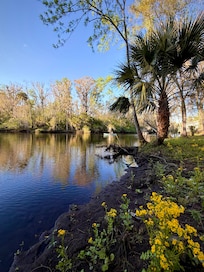 Aucilla River serenity 😎