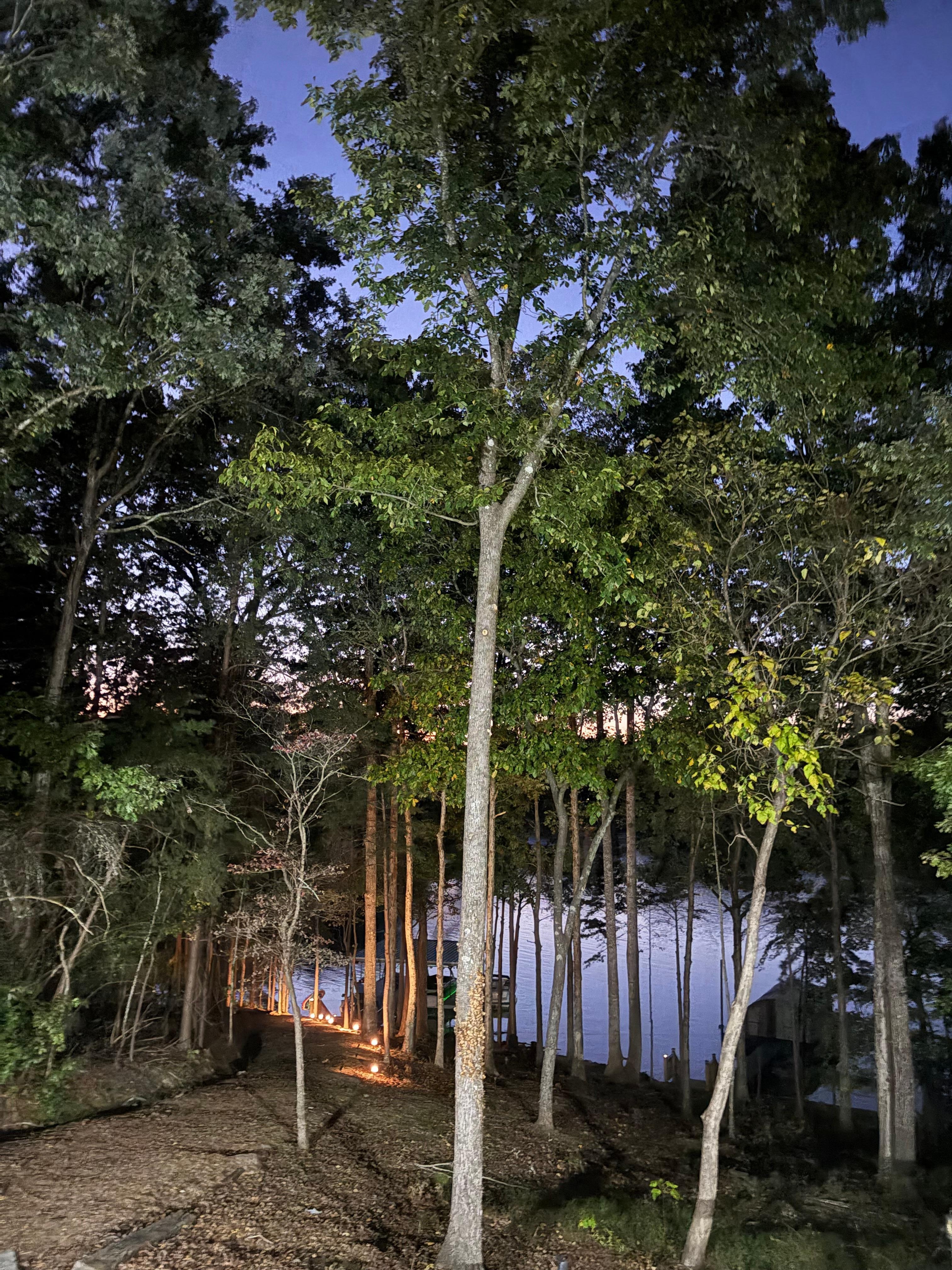 Nighttime view of the lake from the deck
