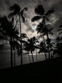 A full moon forces its presence through the clouds about 90 minutes before sunrise. Taken from the lanai on the second level of the home.
