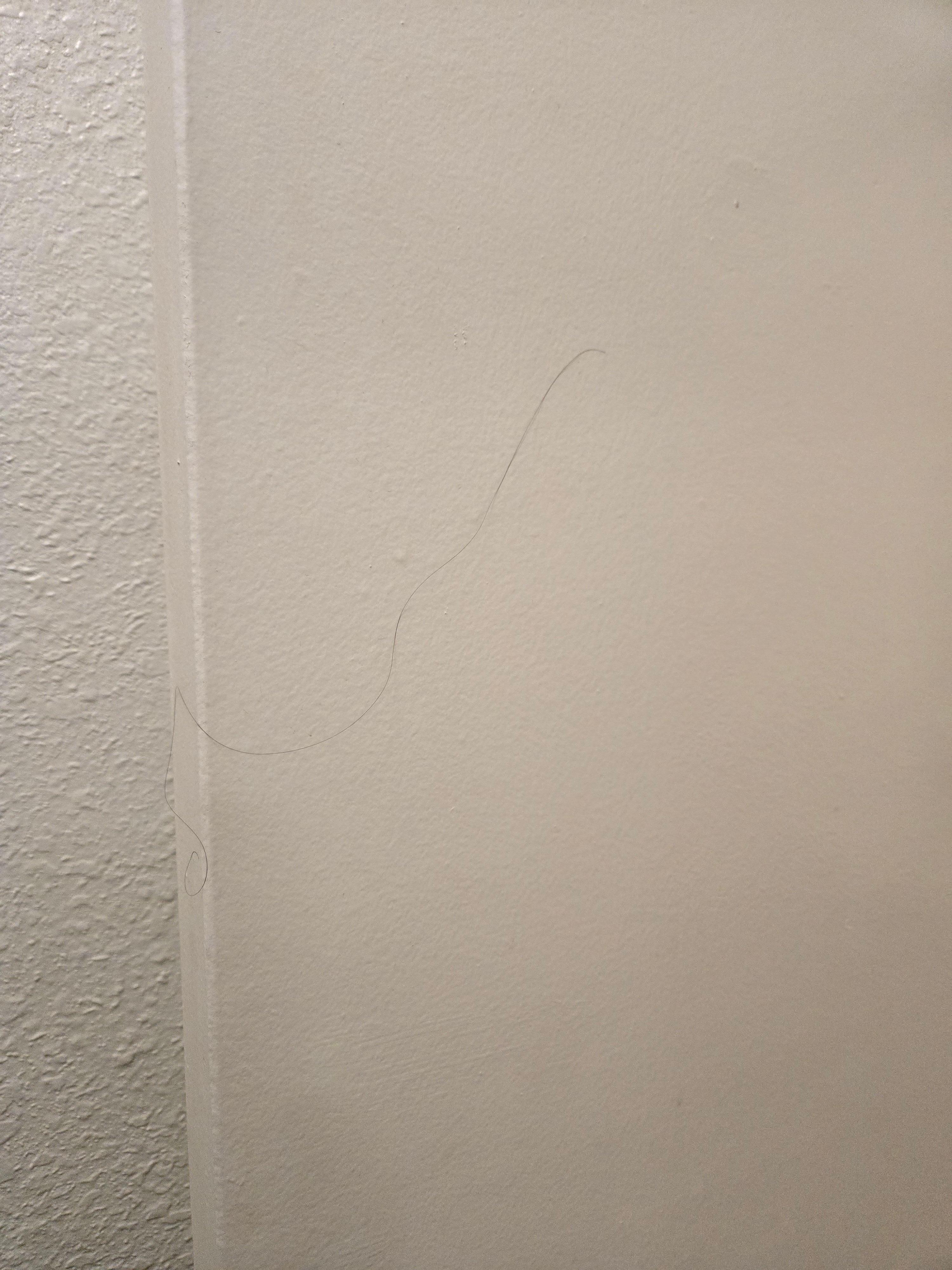 Bathroom wall