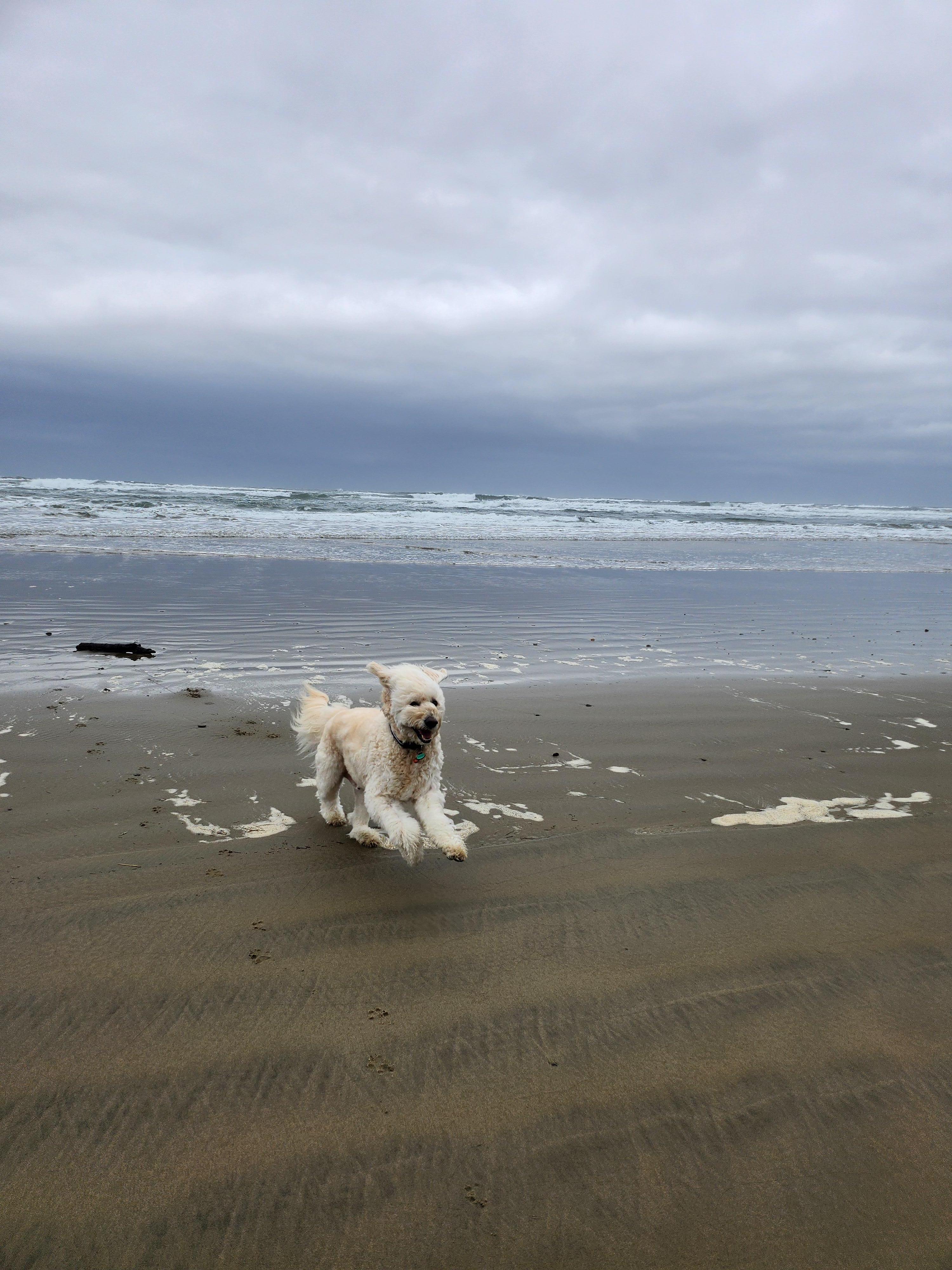 Playtime at beach