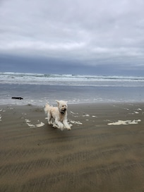 Playtime at beach
