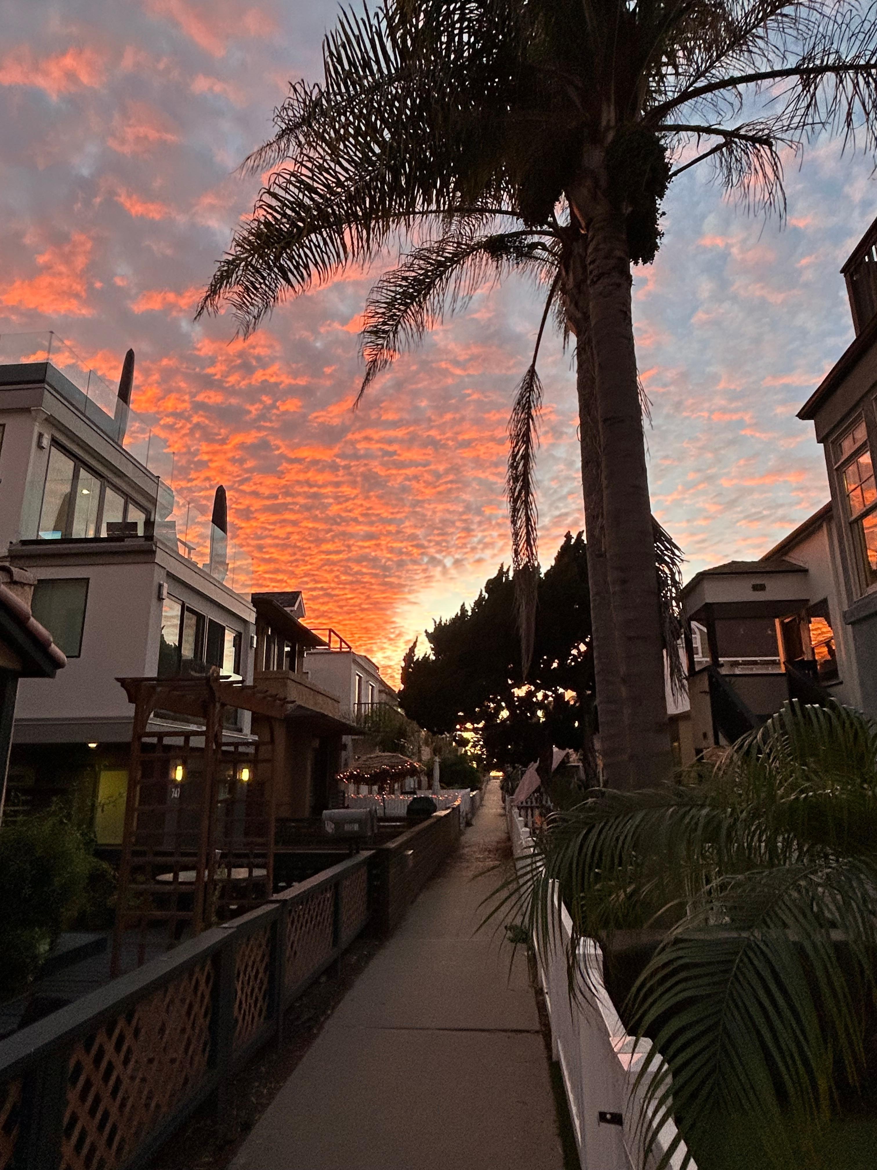 View from the firepit