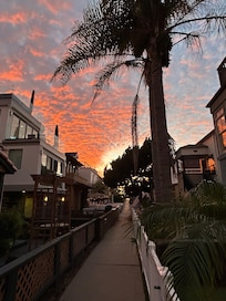 View from the firepit