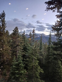 View off the patio