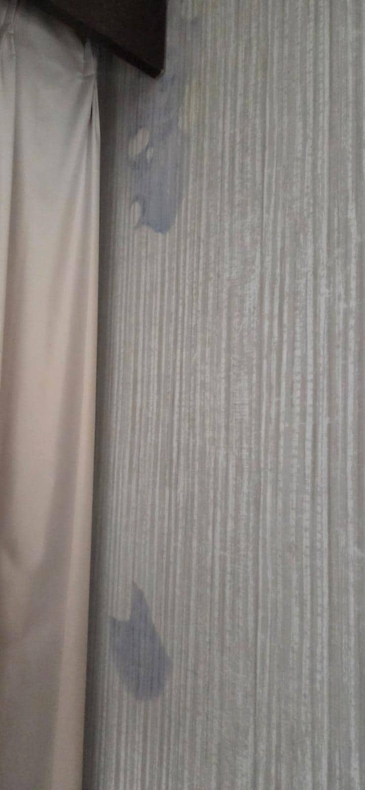 Stains on the wall in our room 