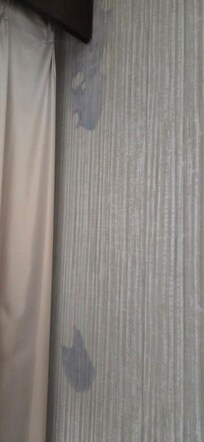 Stains on the wall in our room
