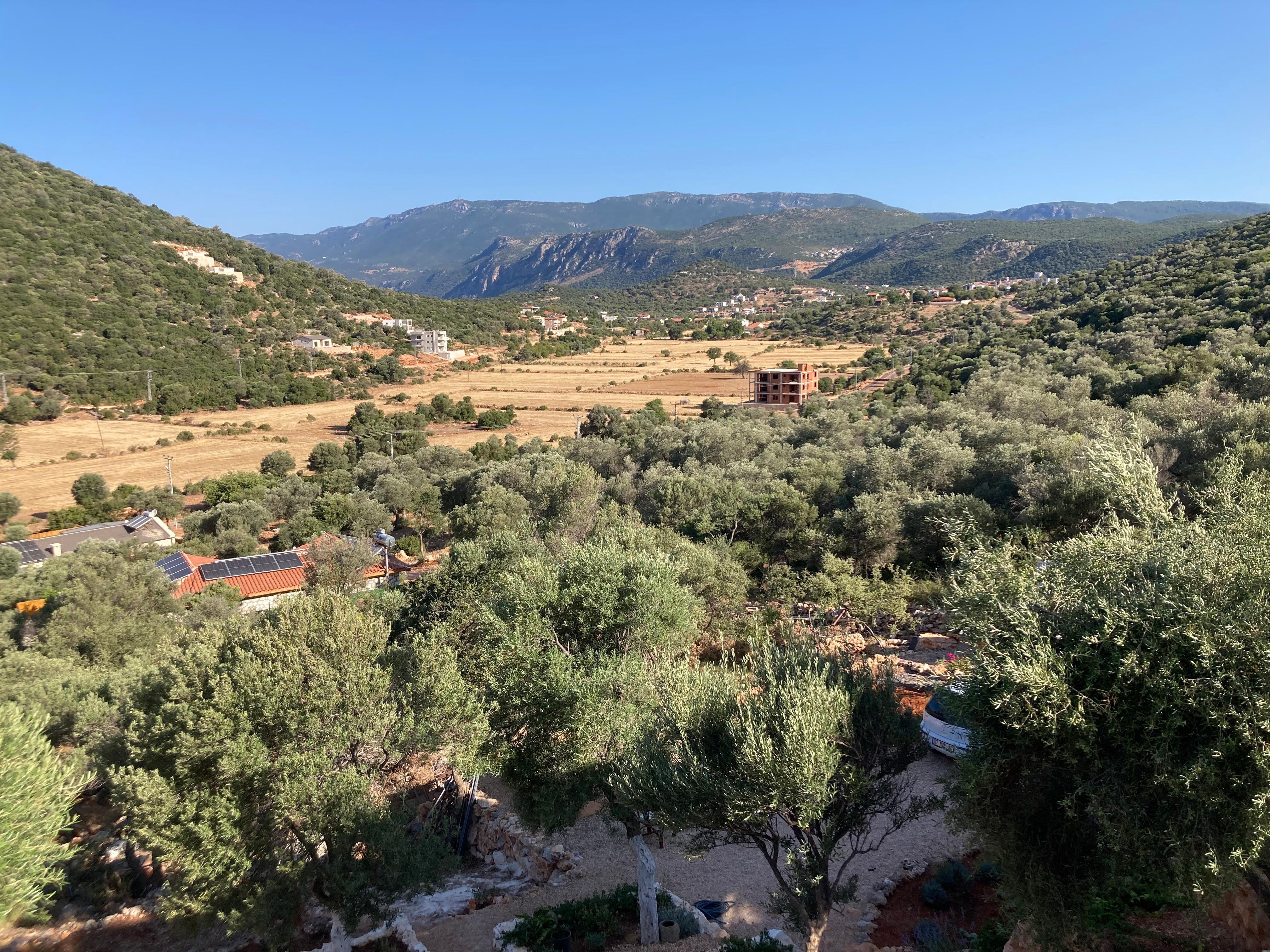View from balcony 