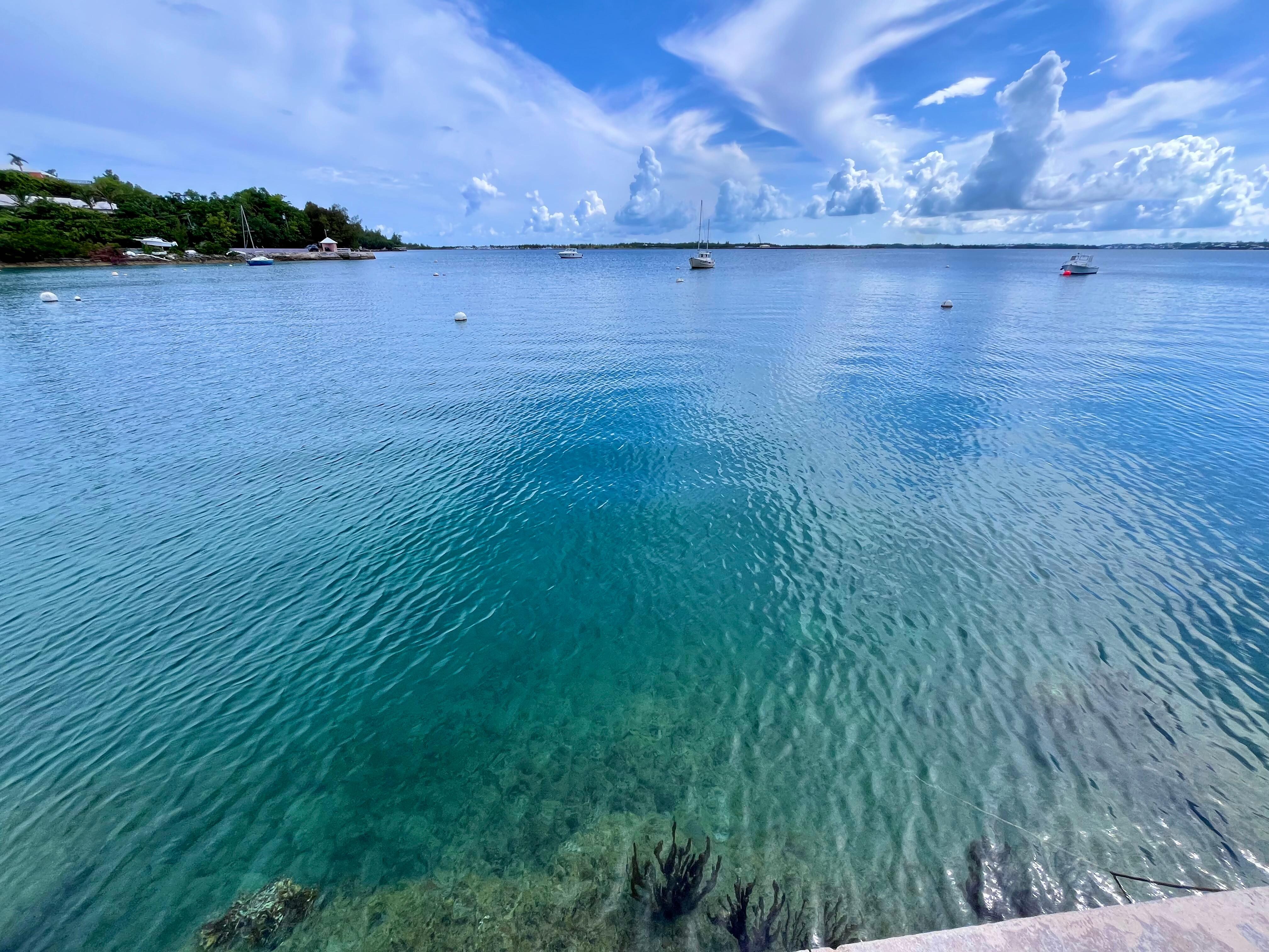 The dock