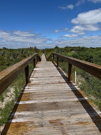 Beautiful boardwalk through the dunes.