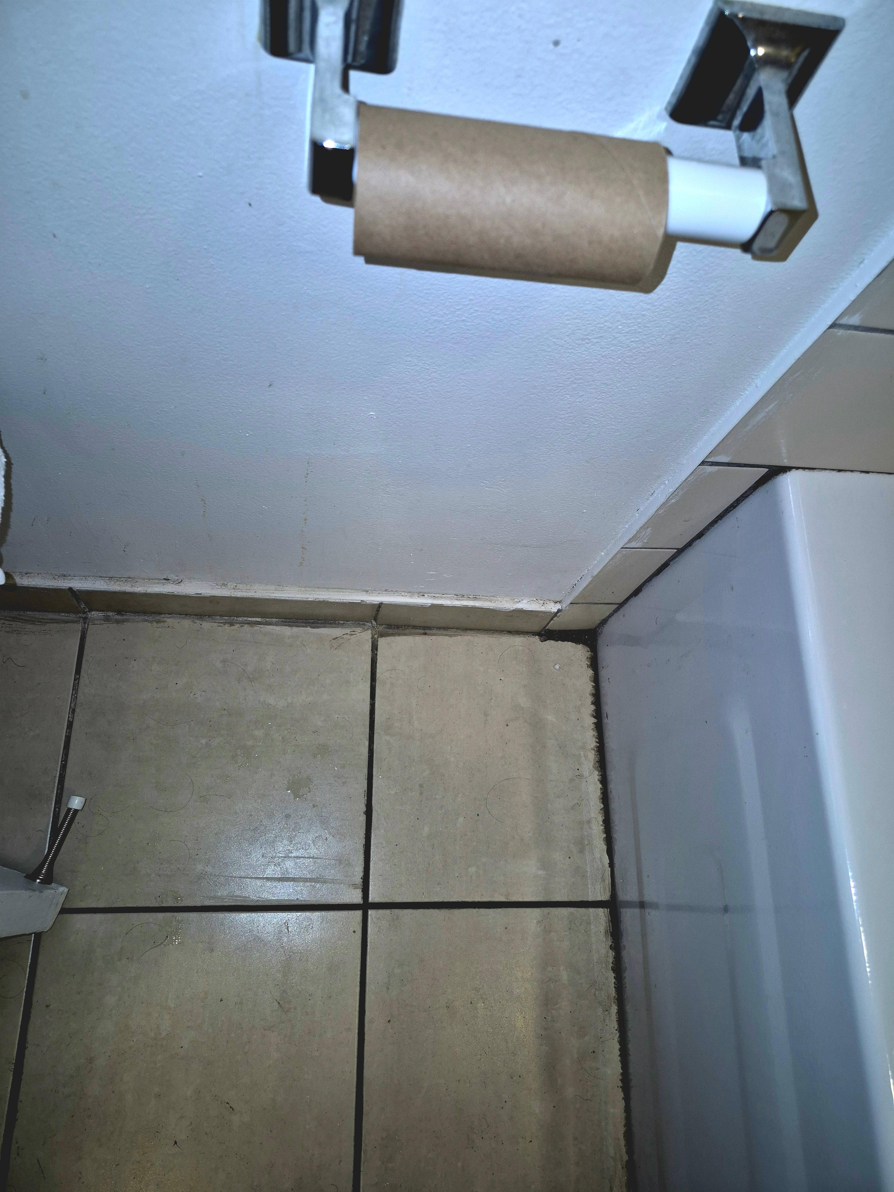 Mould in corner, No toilet paper on last day.