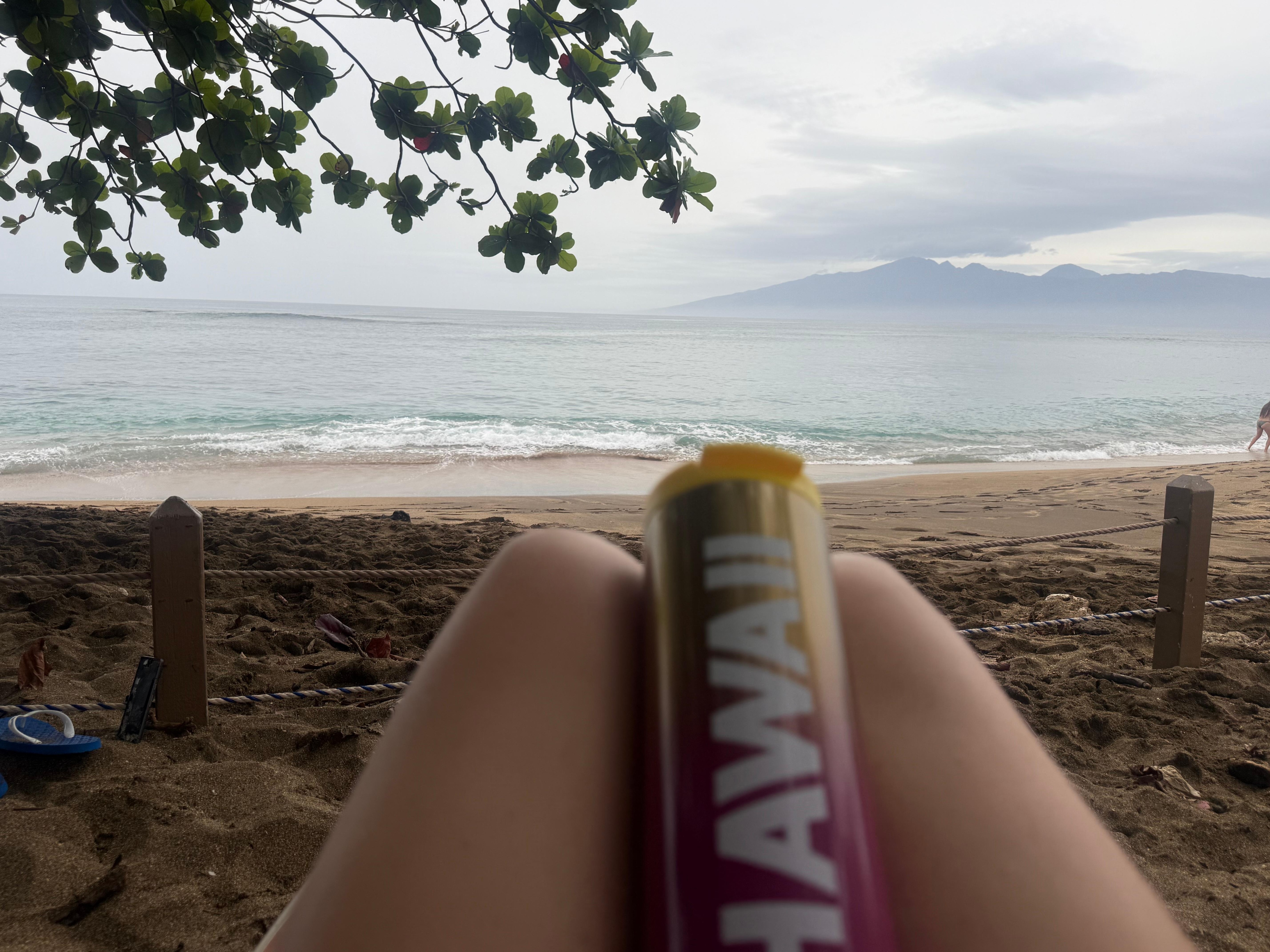 Enjoying the waves near the tree. 
