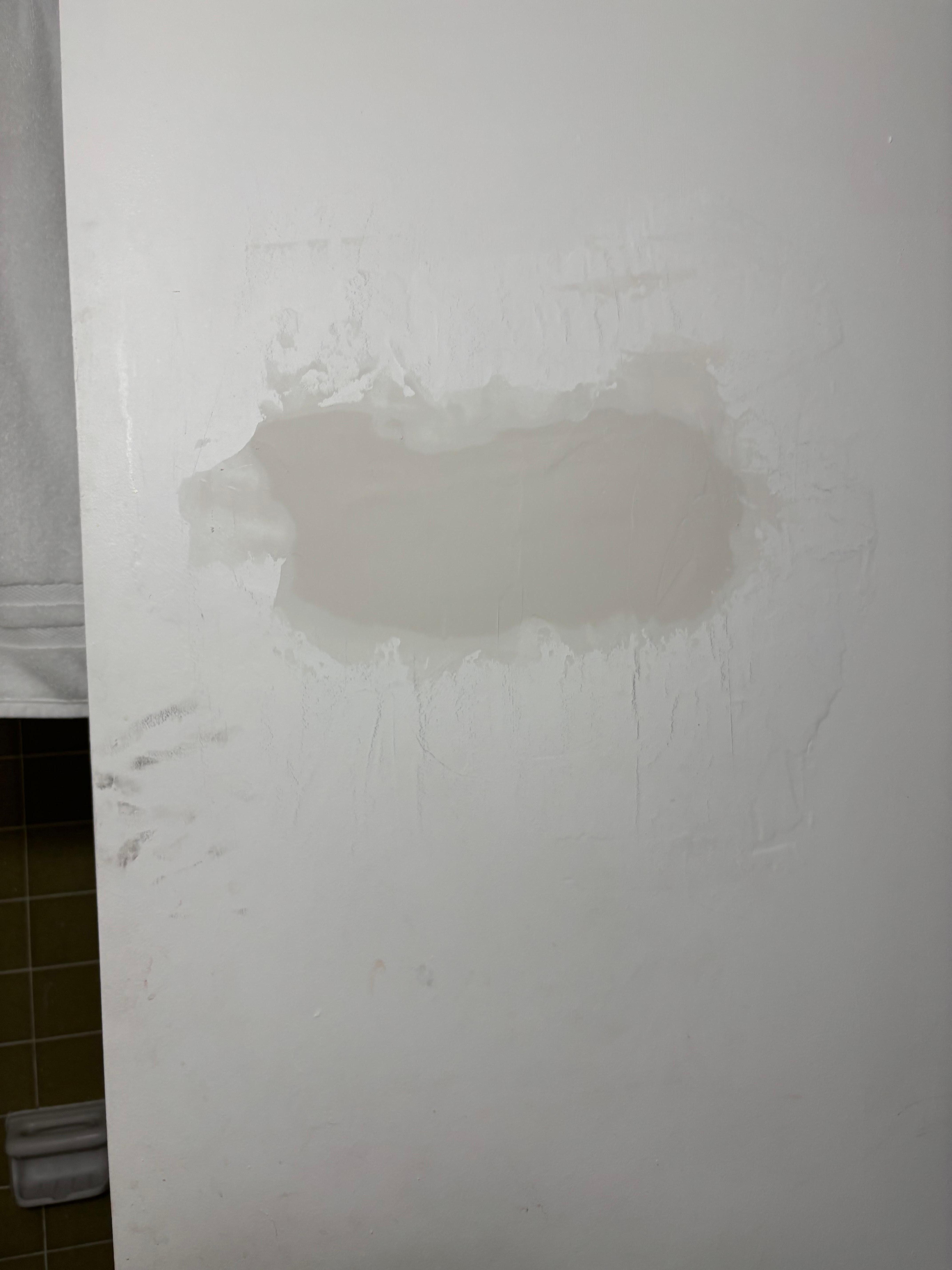 Bathroom door
