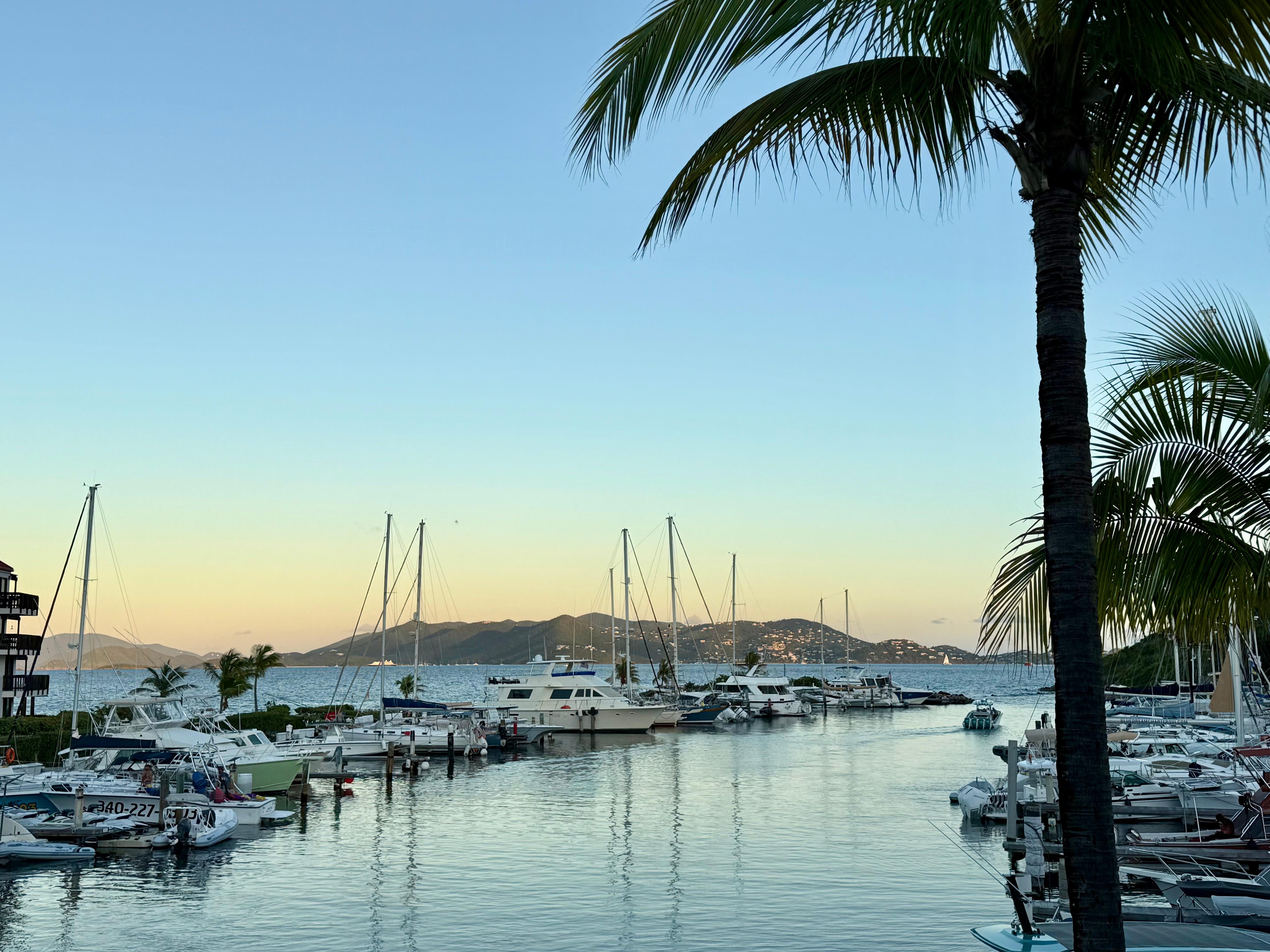 View from the patio. 